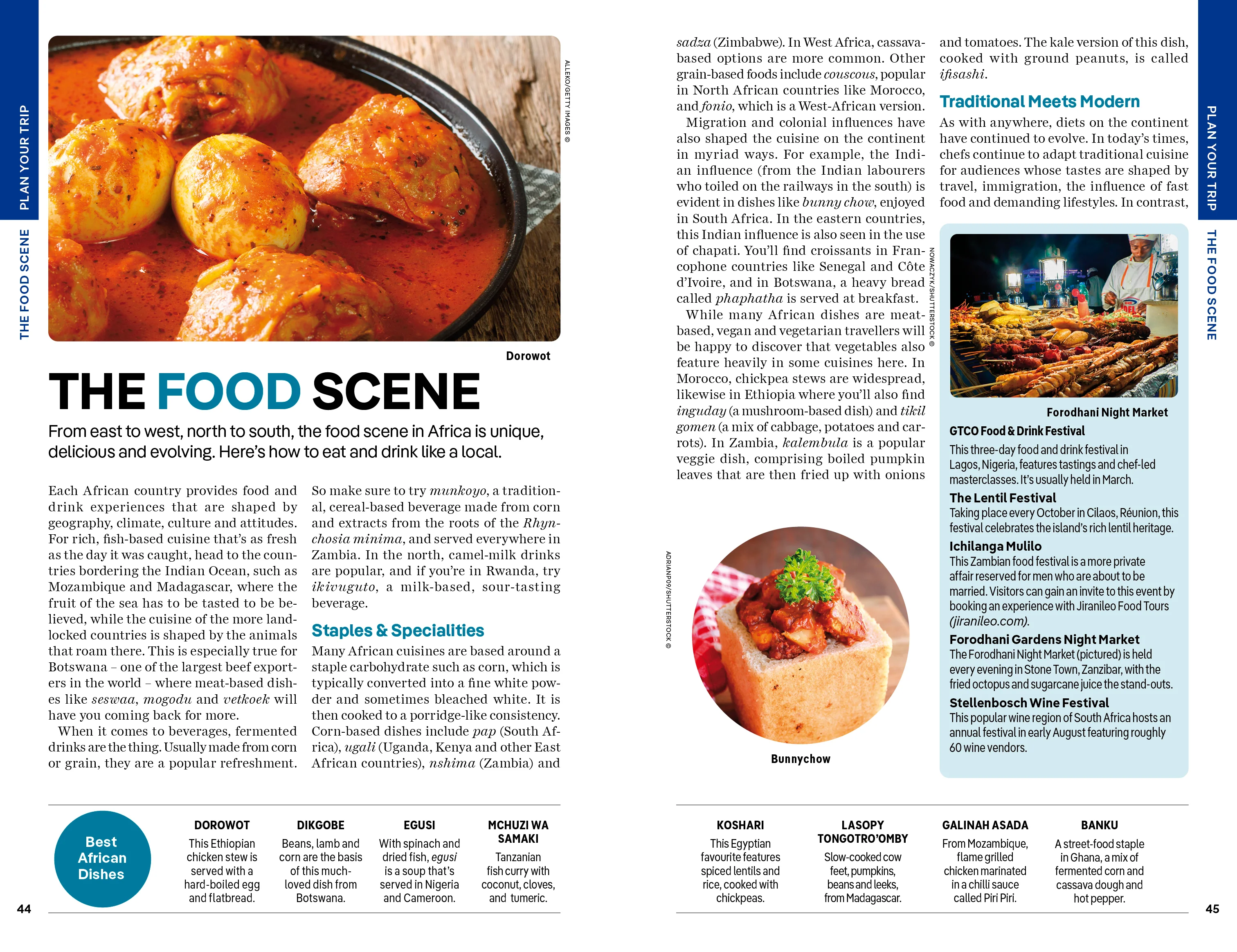 Africa - Book - Image 10