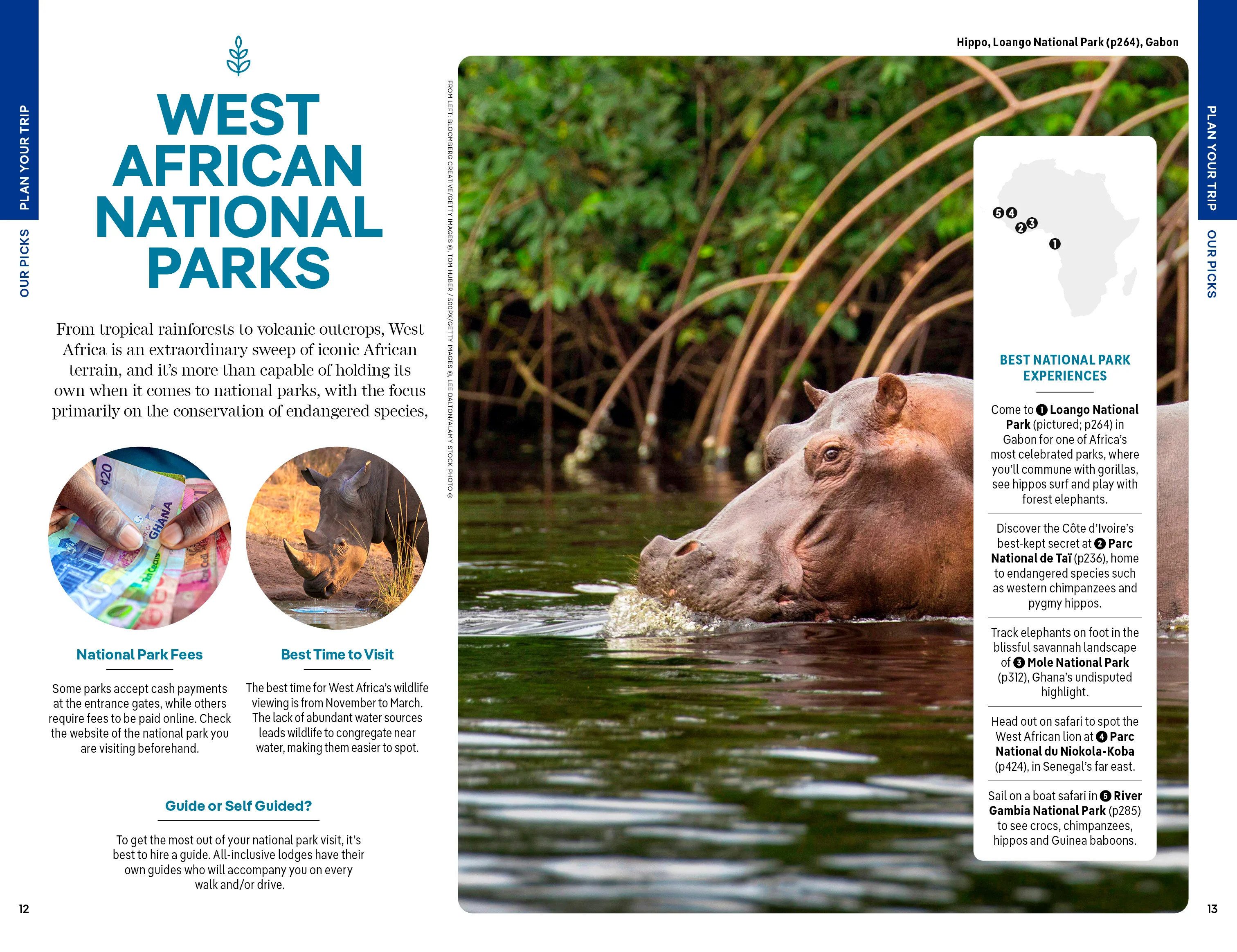 Africa - Book - Image 6
