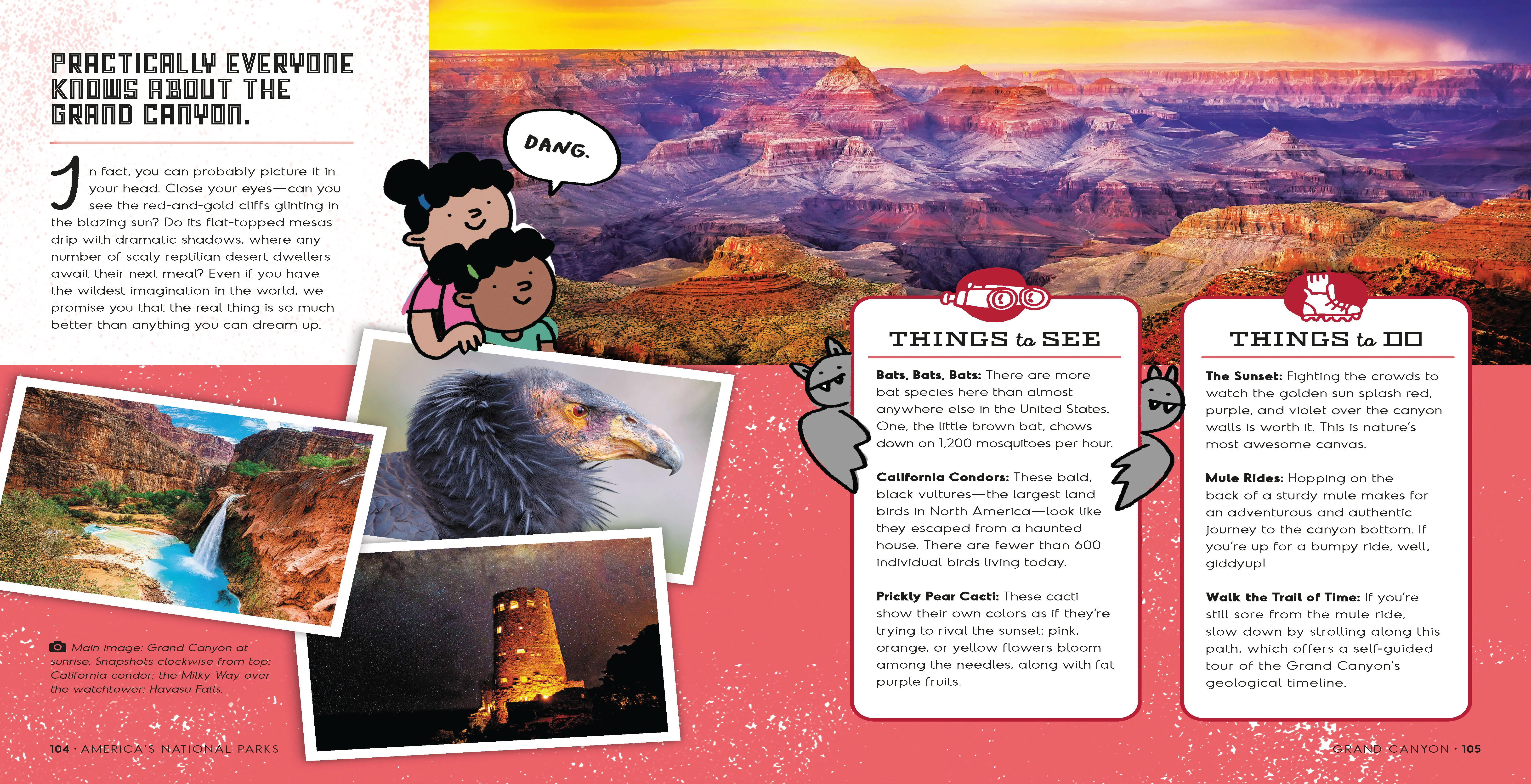 America's National Parks - Image 11