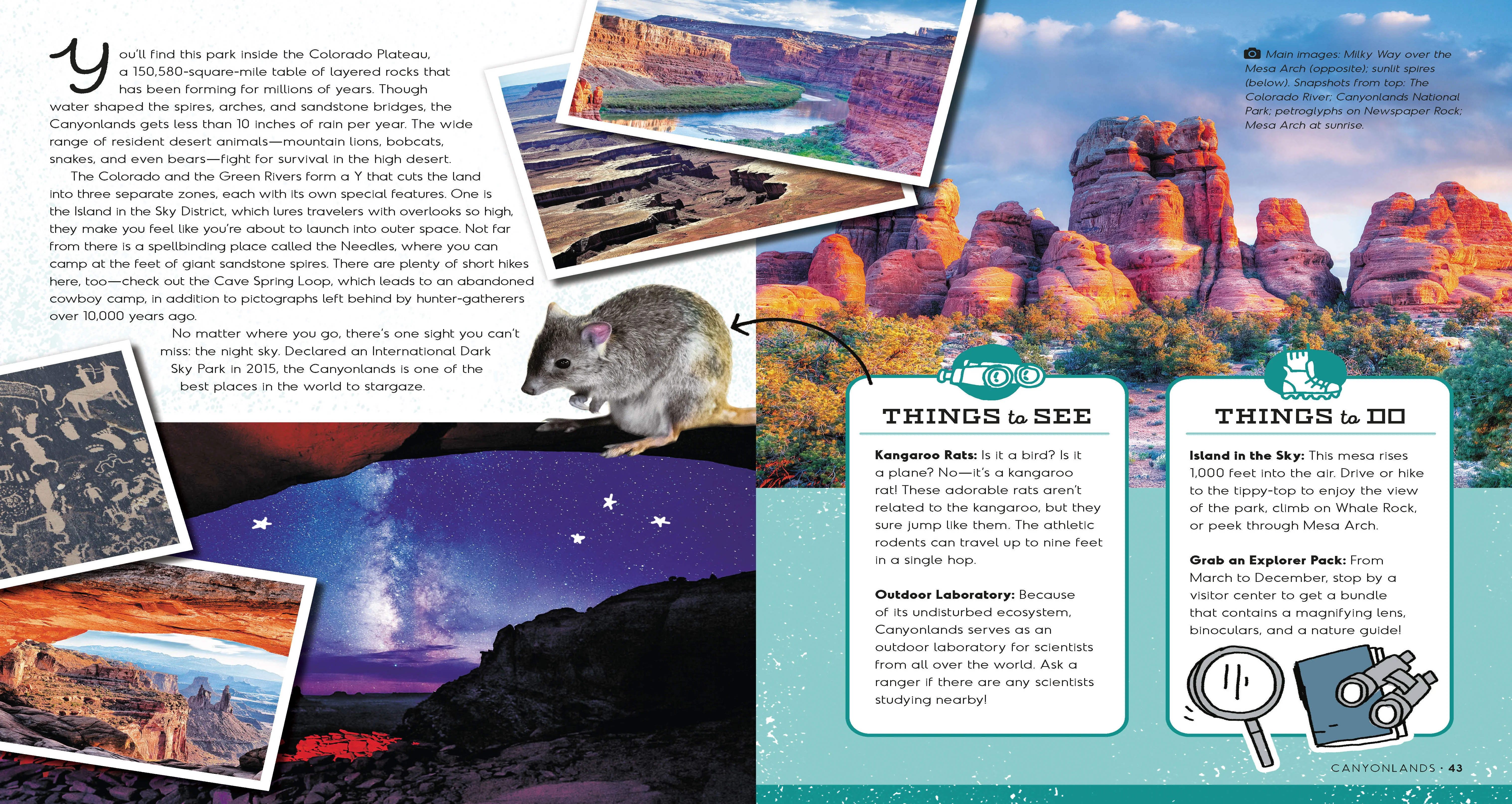 America's National Parks - Image 6