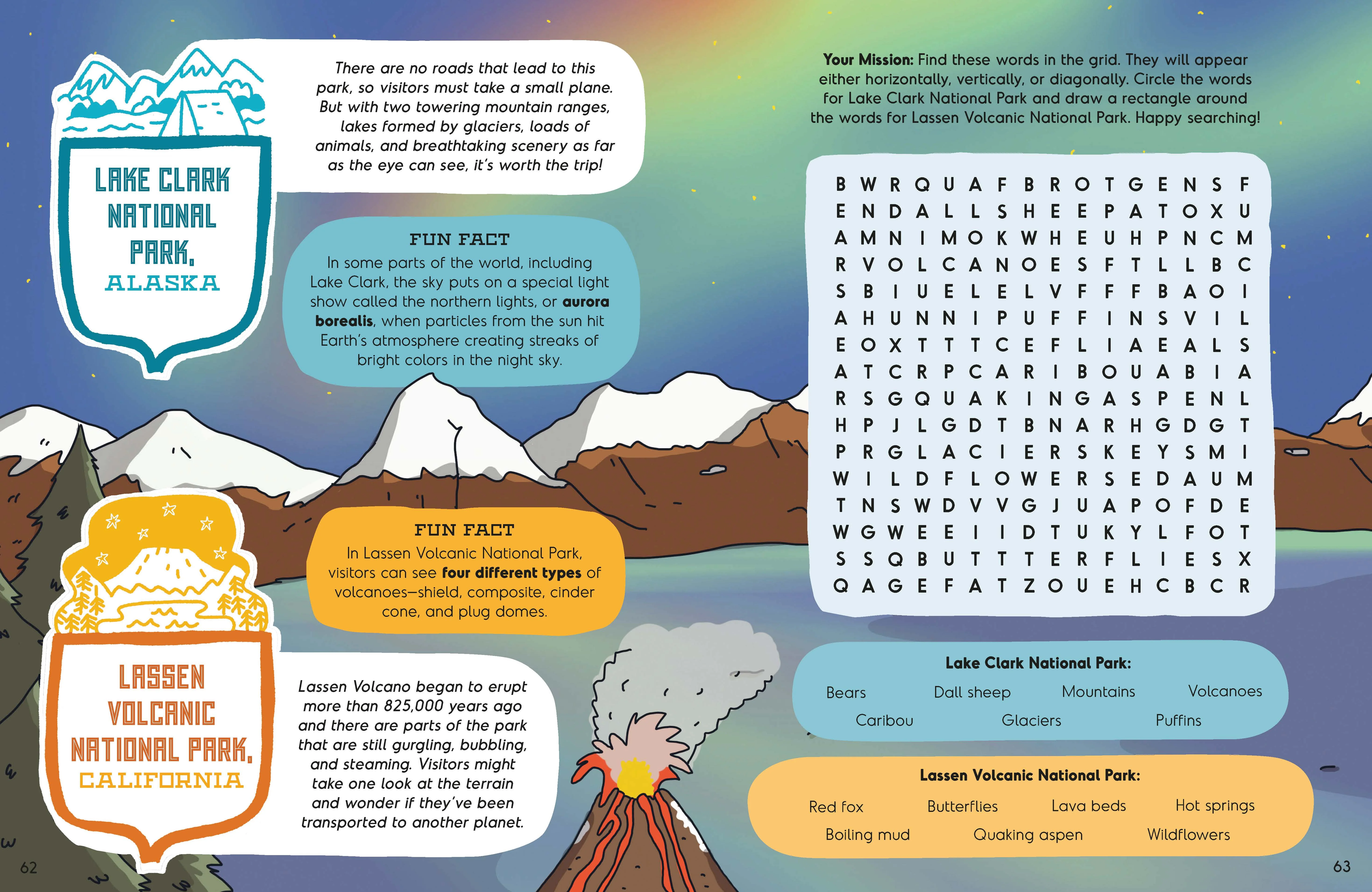 America's National Parks Activity Book - Image 10