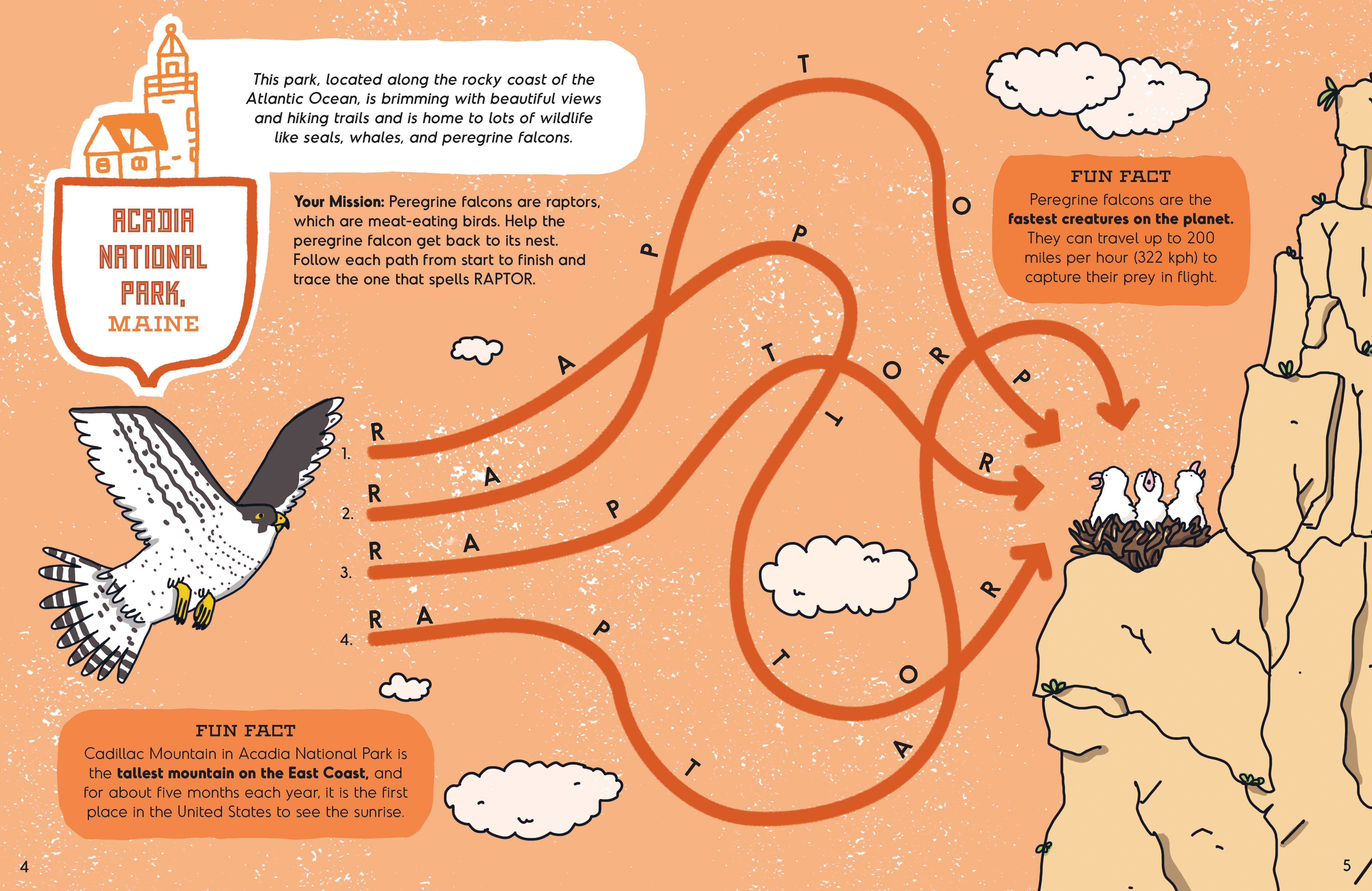 America's National Parks Activity Book - Image 3