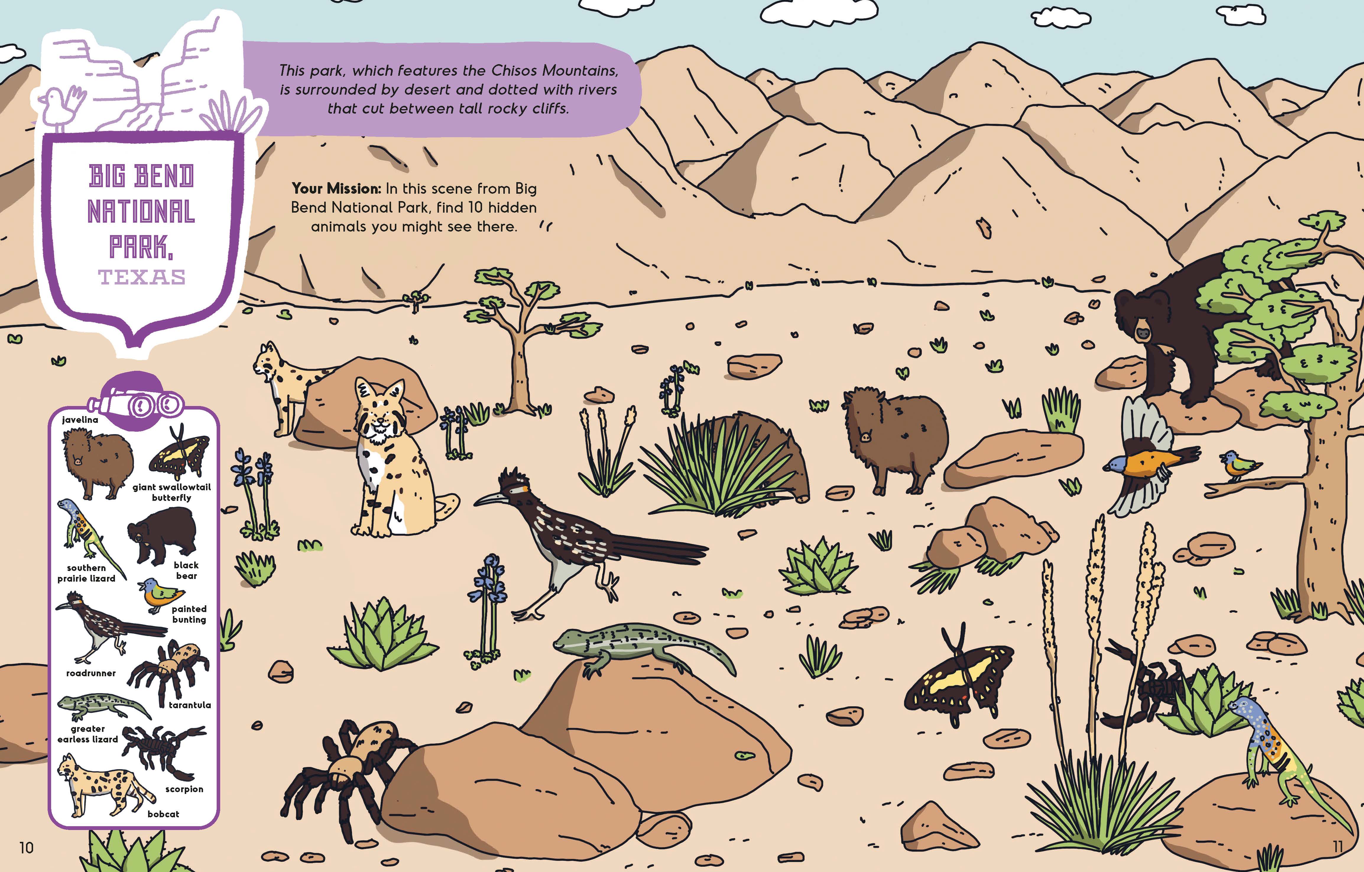 America's National Parks Activity Book - Image 4