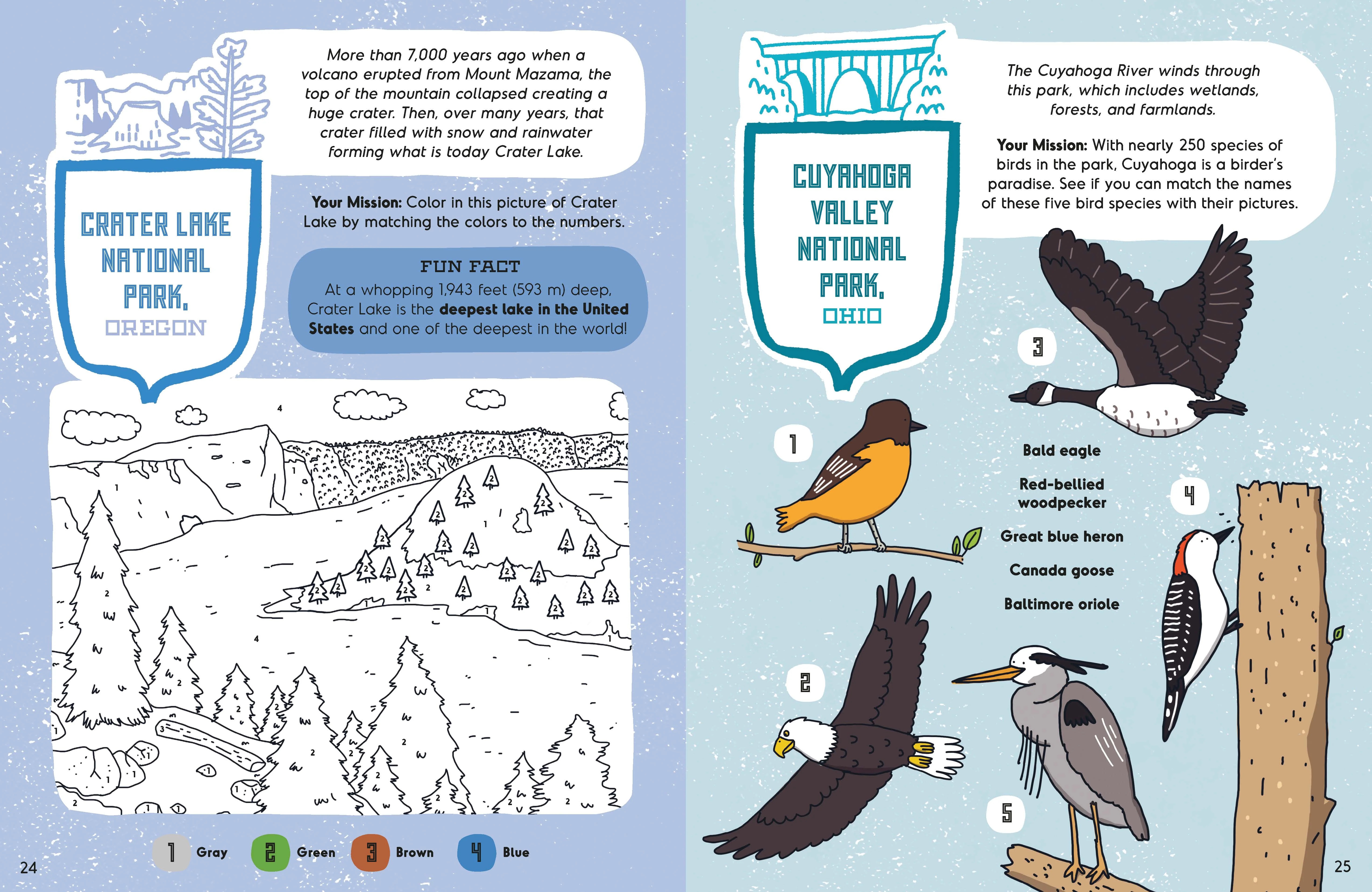 America's National Parks Activity Book - Image 7