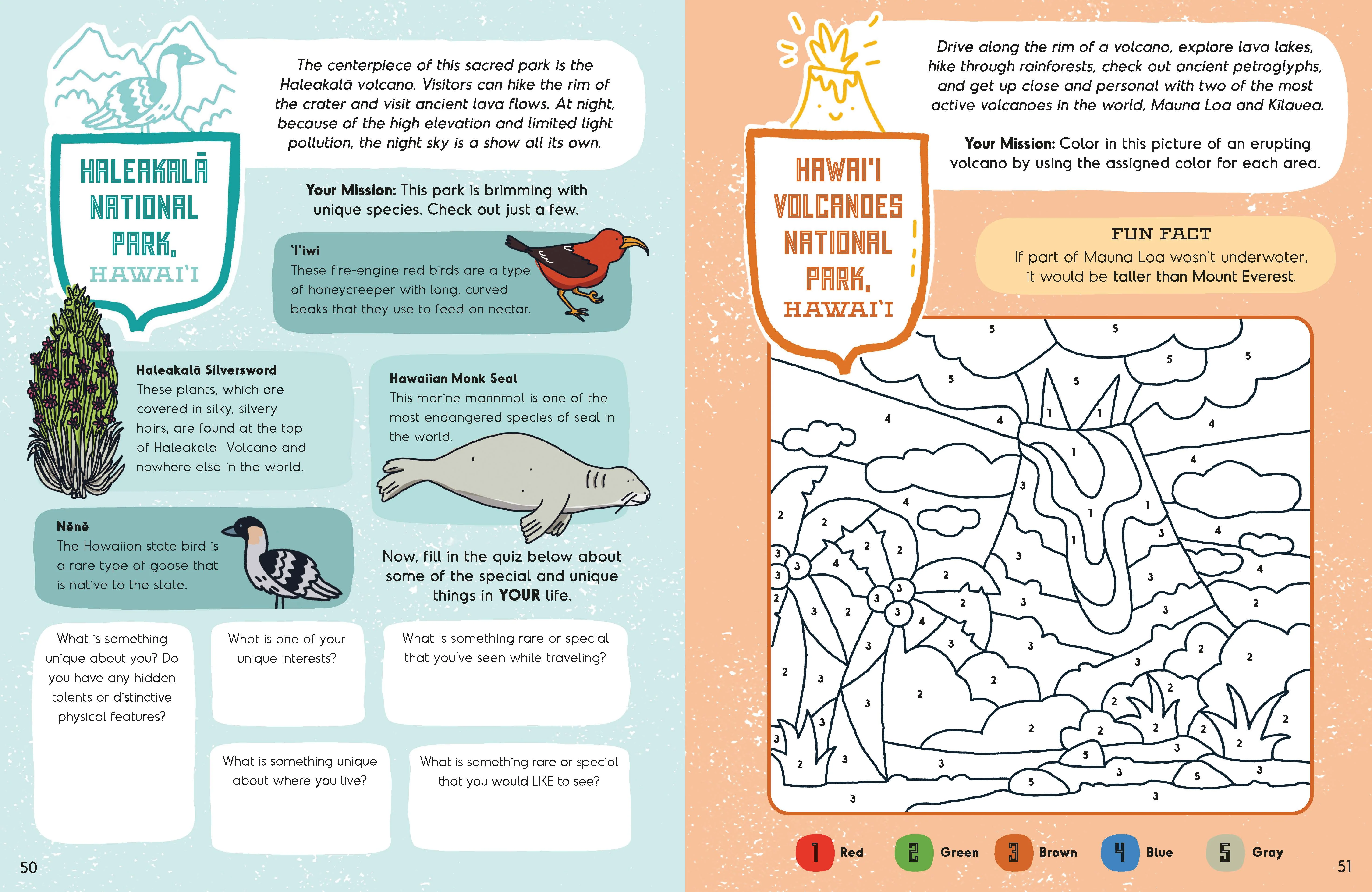 America's National Parks Activity Book - Image 9