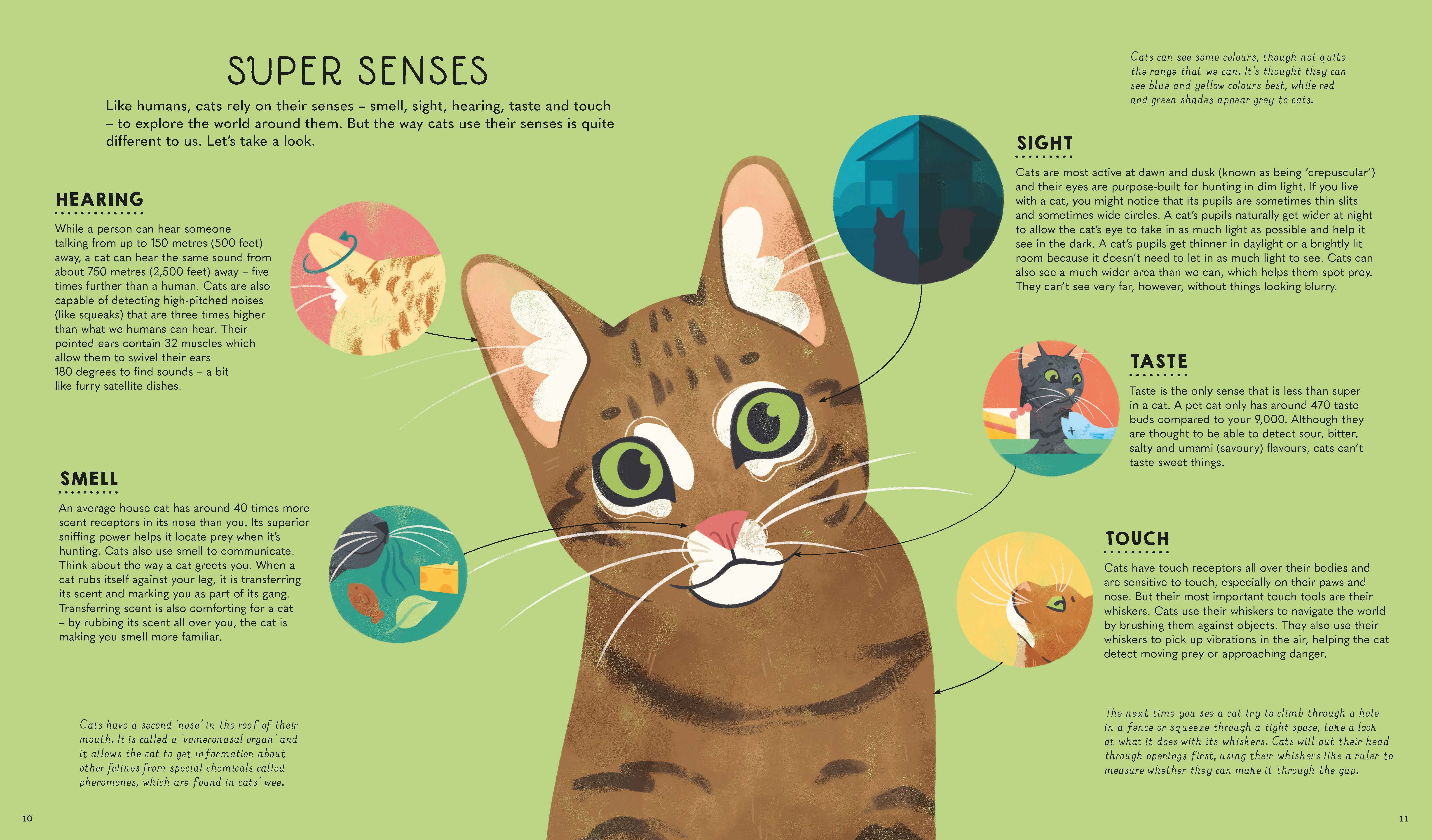 Atlas of Cats (North and South America edition) - Image 2