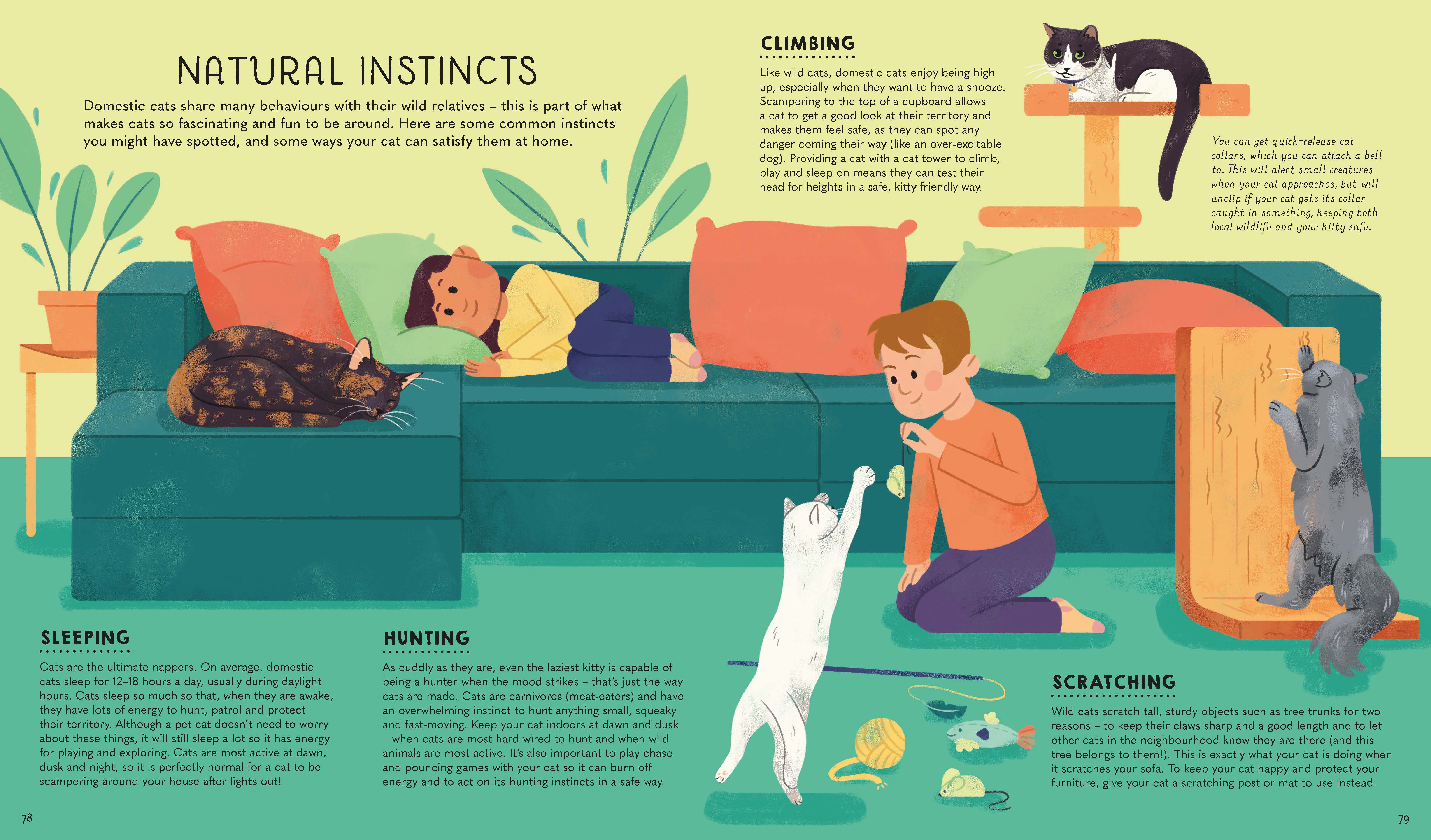 Atlas of Cats (North and South America edition) - Image 8