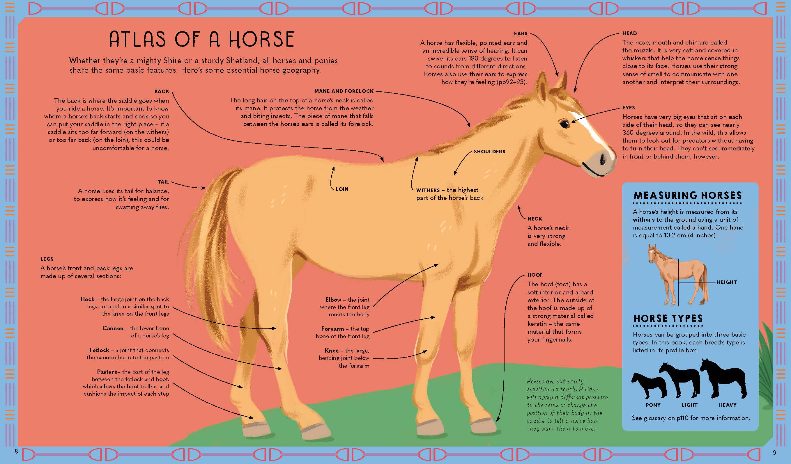 Atlas of Horses and Ponies - Image 4