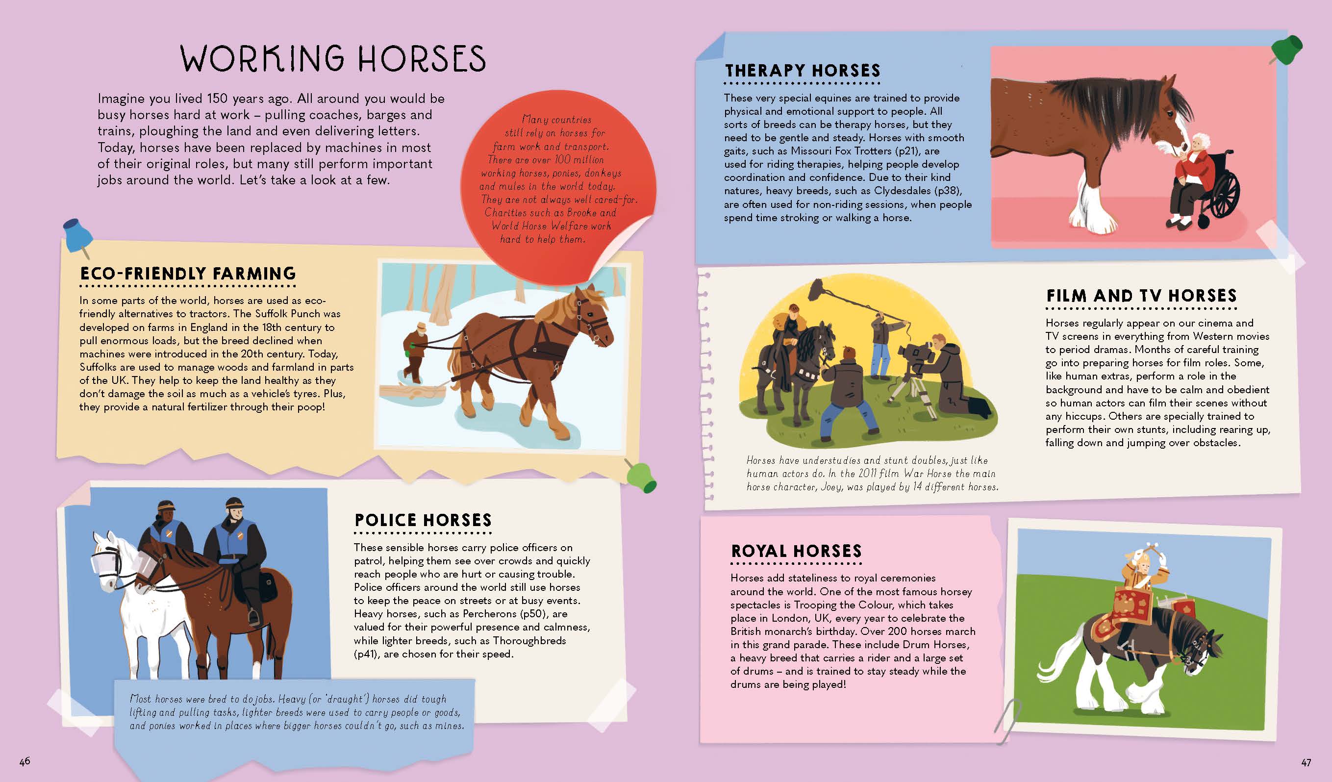 Atlas of Horses and Ponies - Image 8