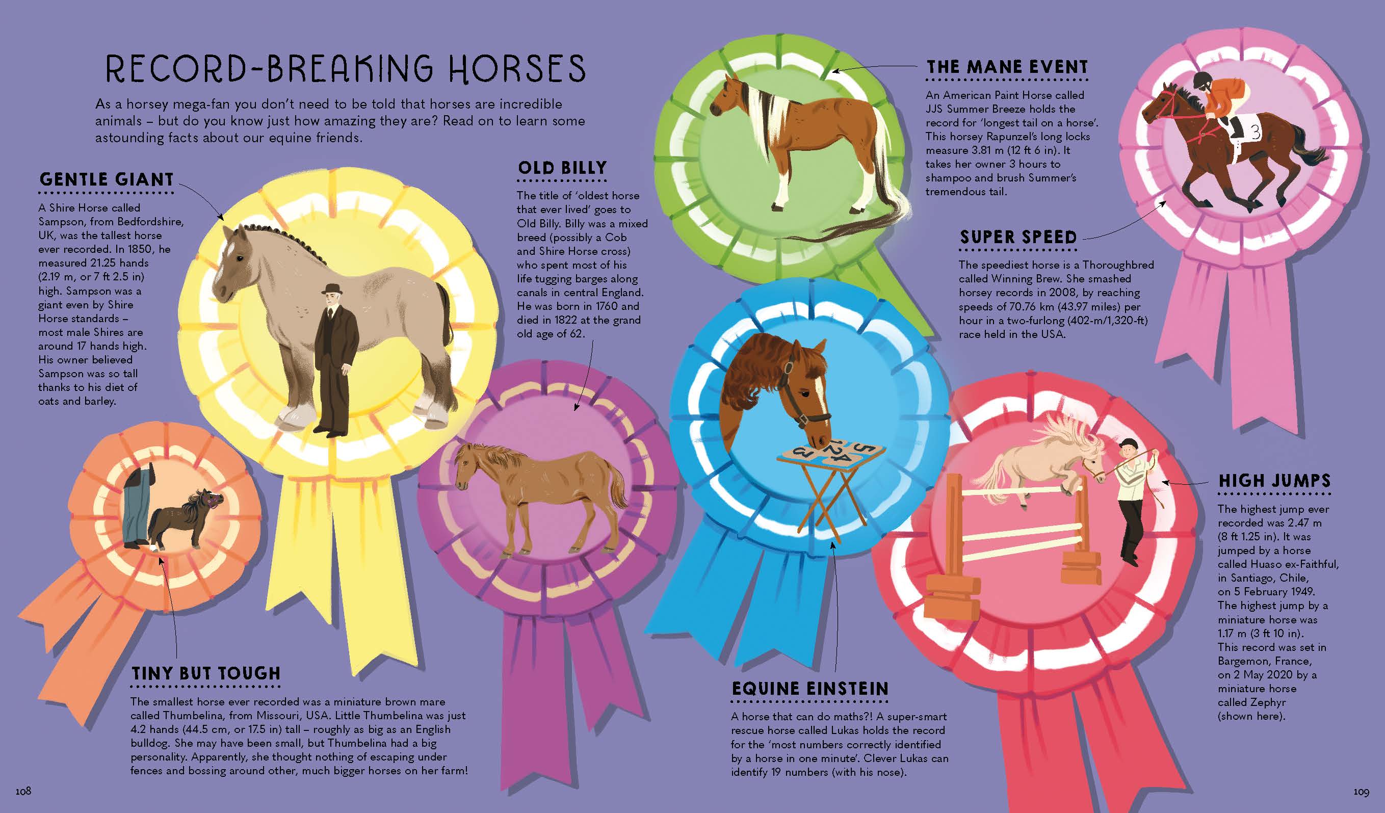 Atlas of Horses and Ponies (North & South America edition) - Image 11
