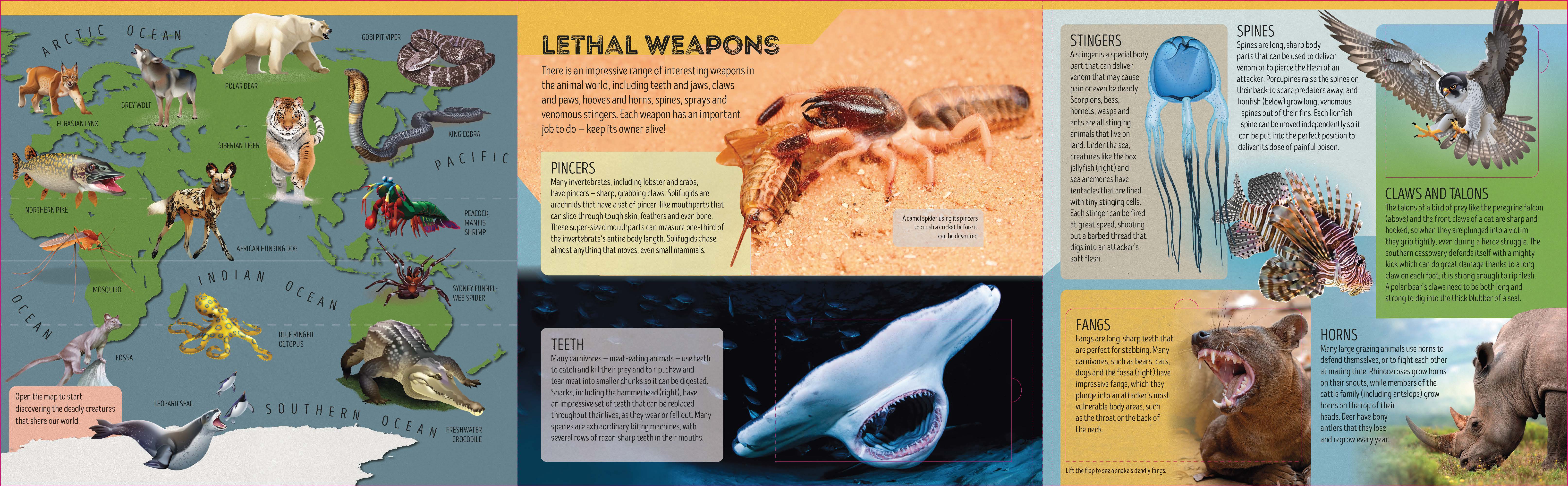 Deadly Animal Atlas - Image 3