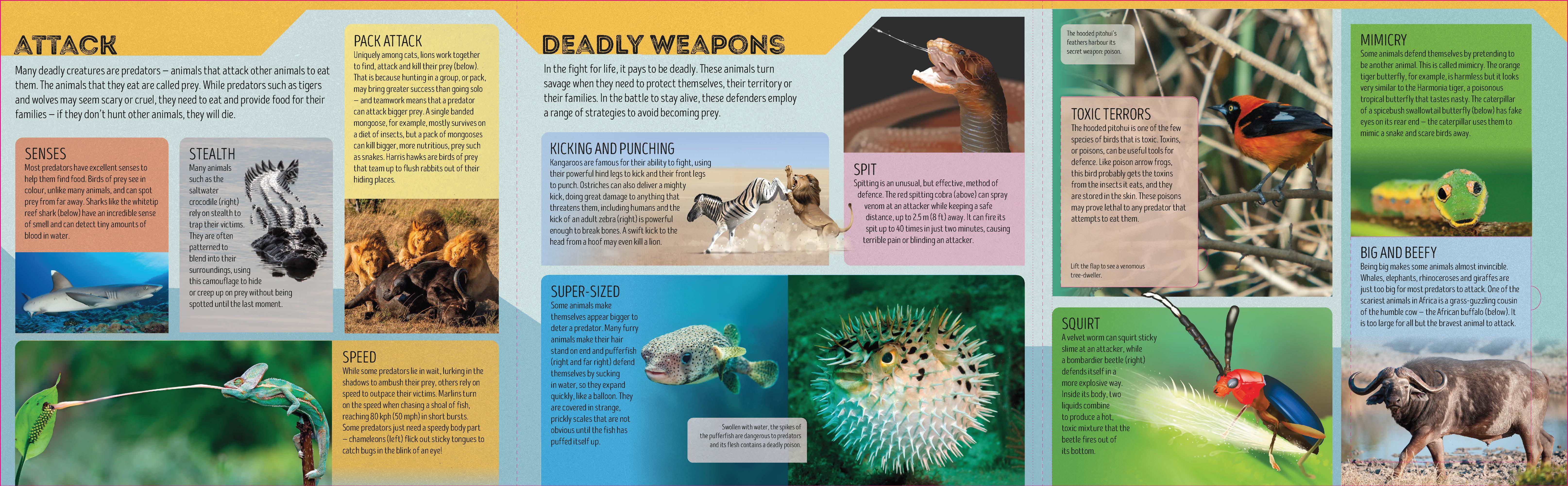 Deadly Animal Atlas (North and South America edition) - Image 2