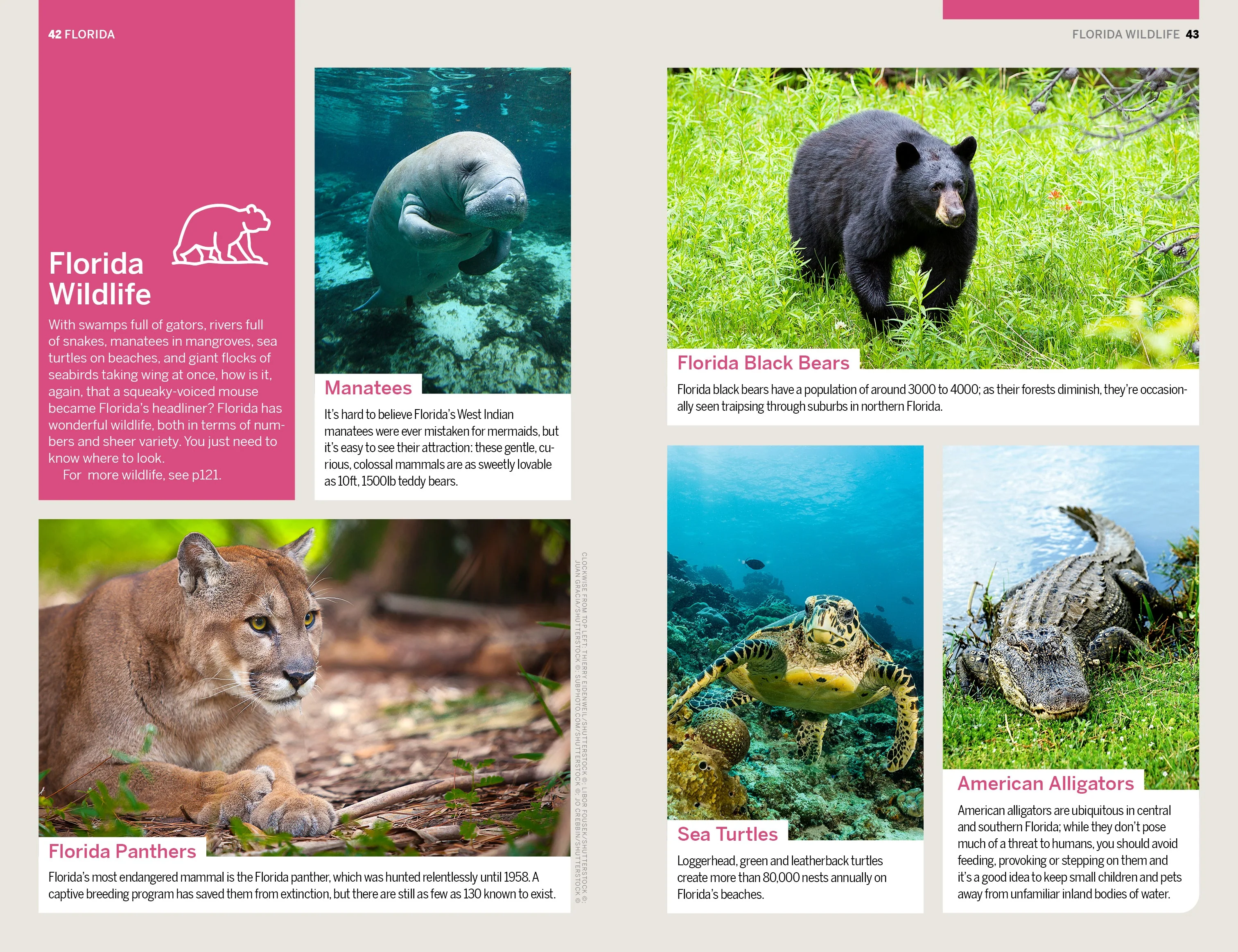 Florida & the South's National Parks - Book - Image 15