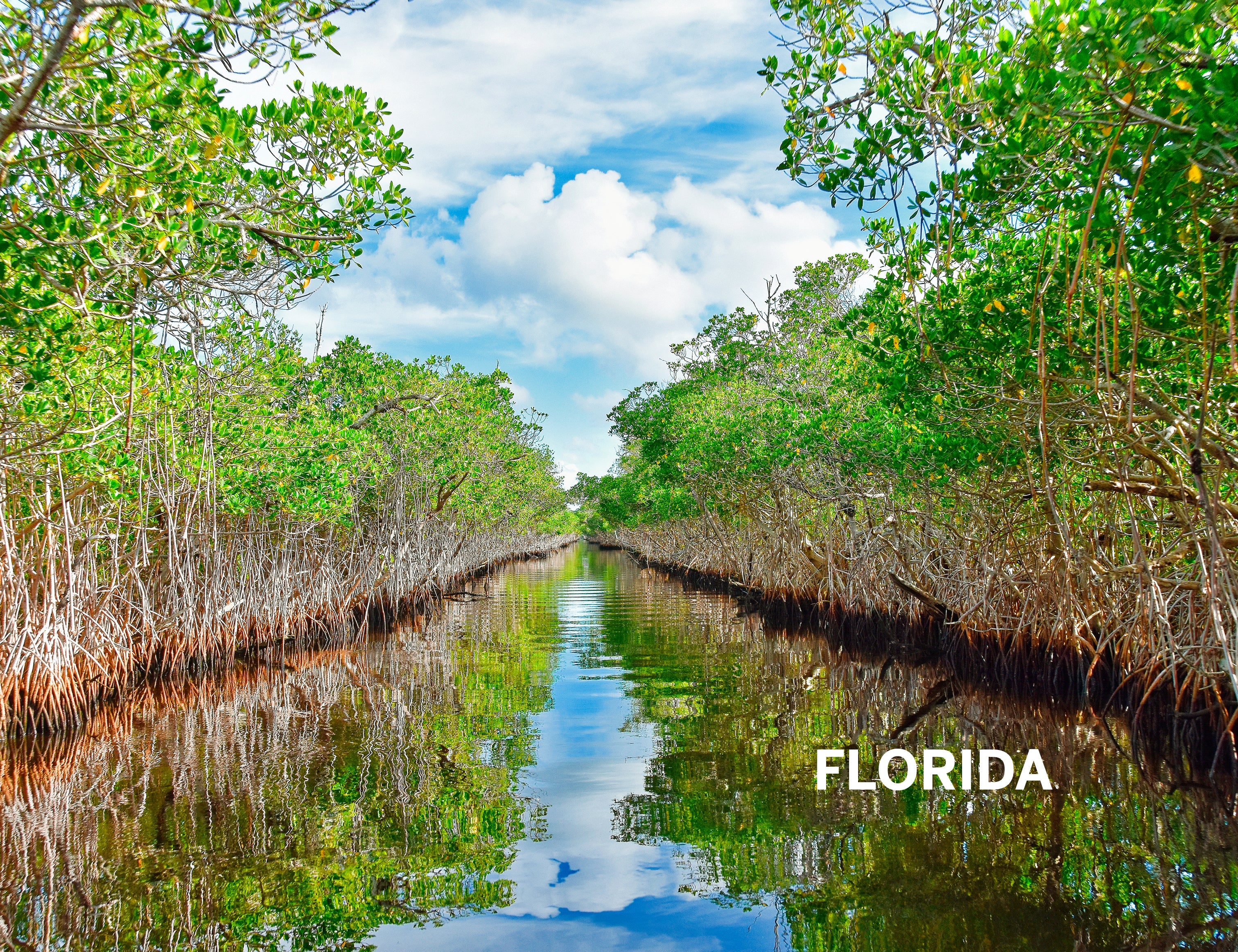 Florida & the South's National Parks - Book + eBook - Image 11