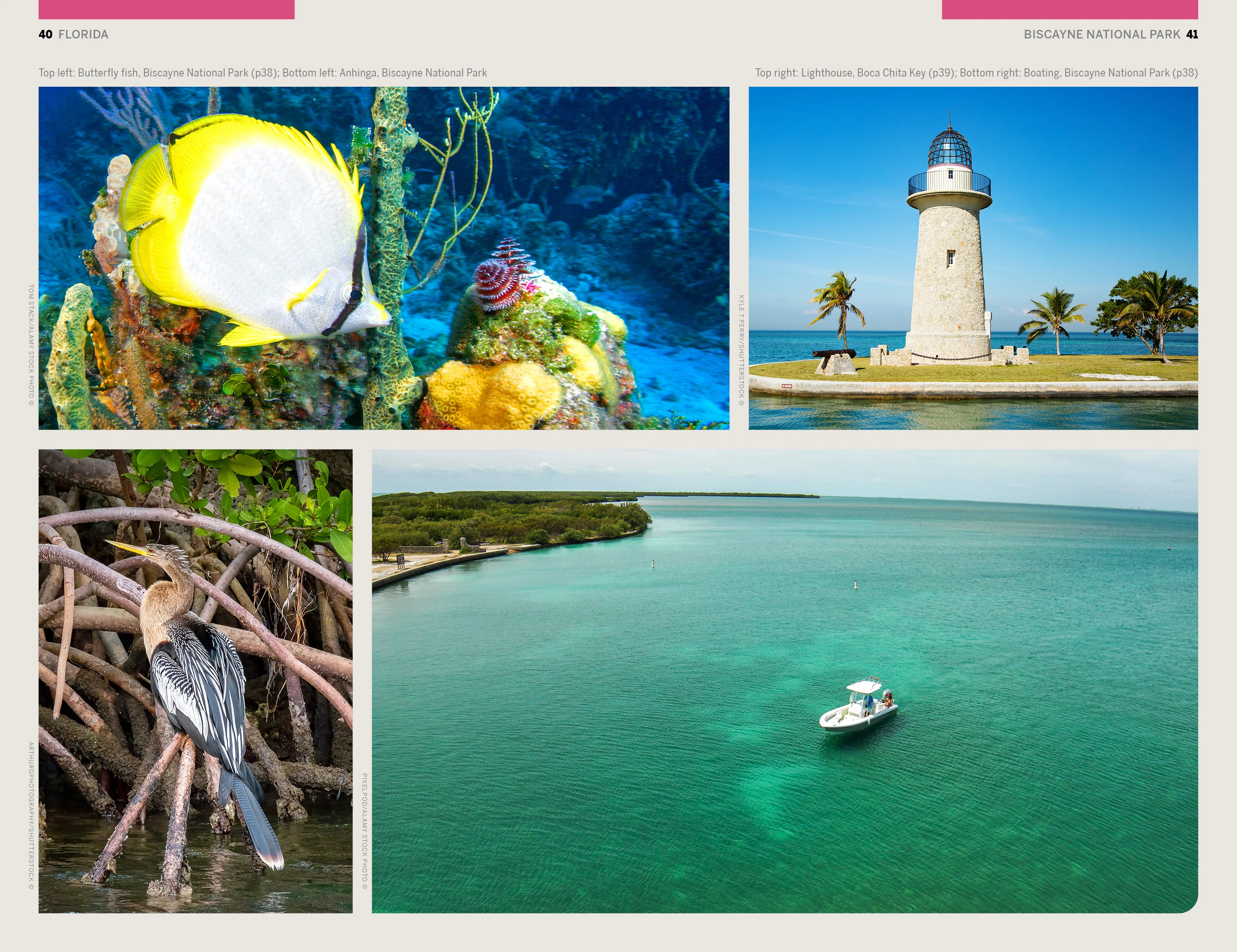 Florida & the South's National Parks - Image 14