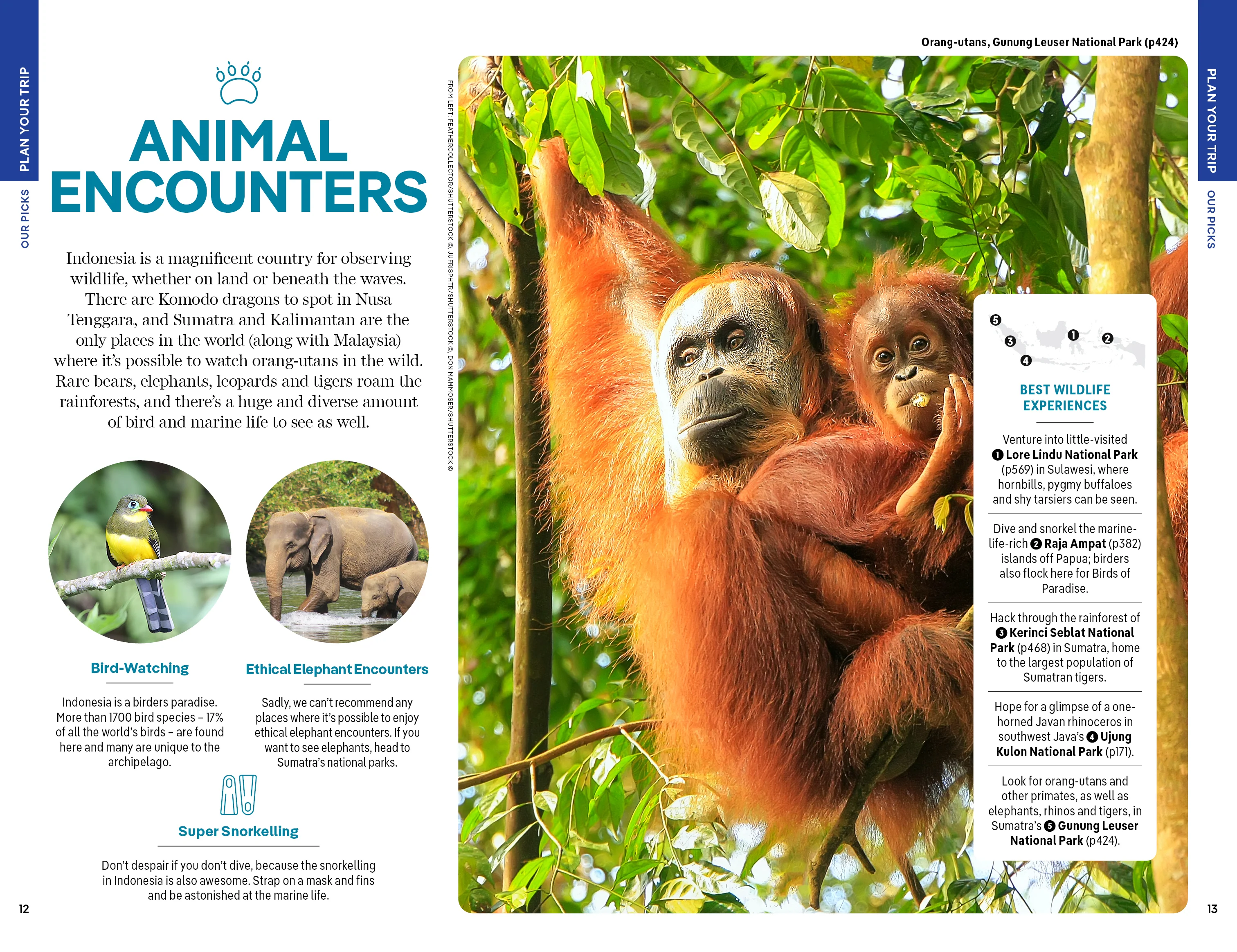 Indonesia - Book - Image 6