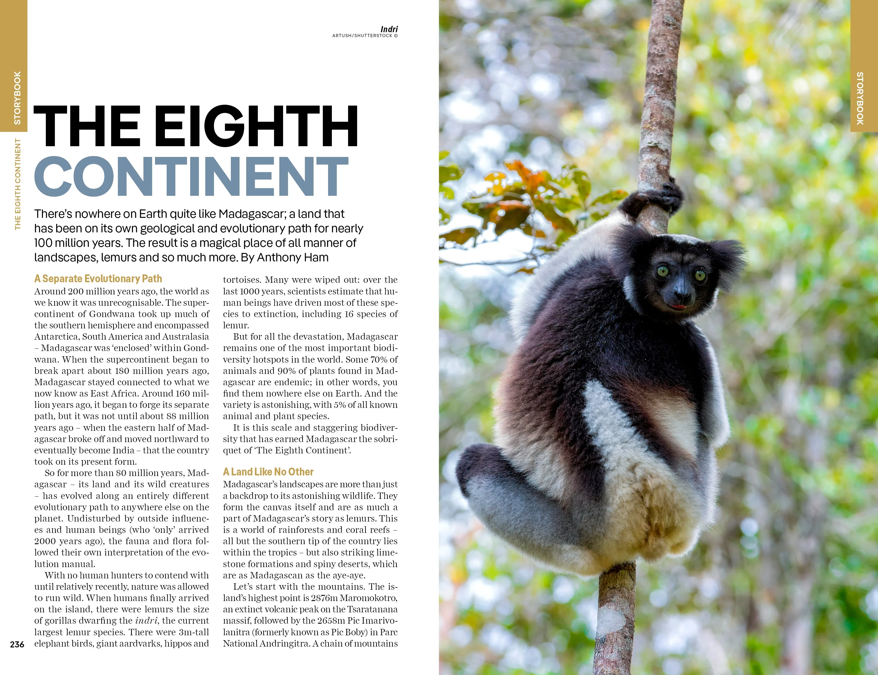 Madagascar - Book - Image 16