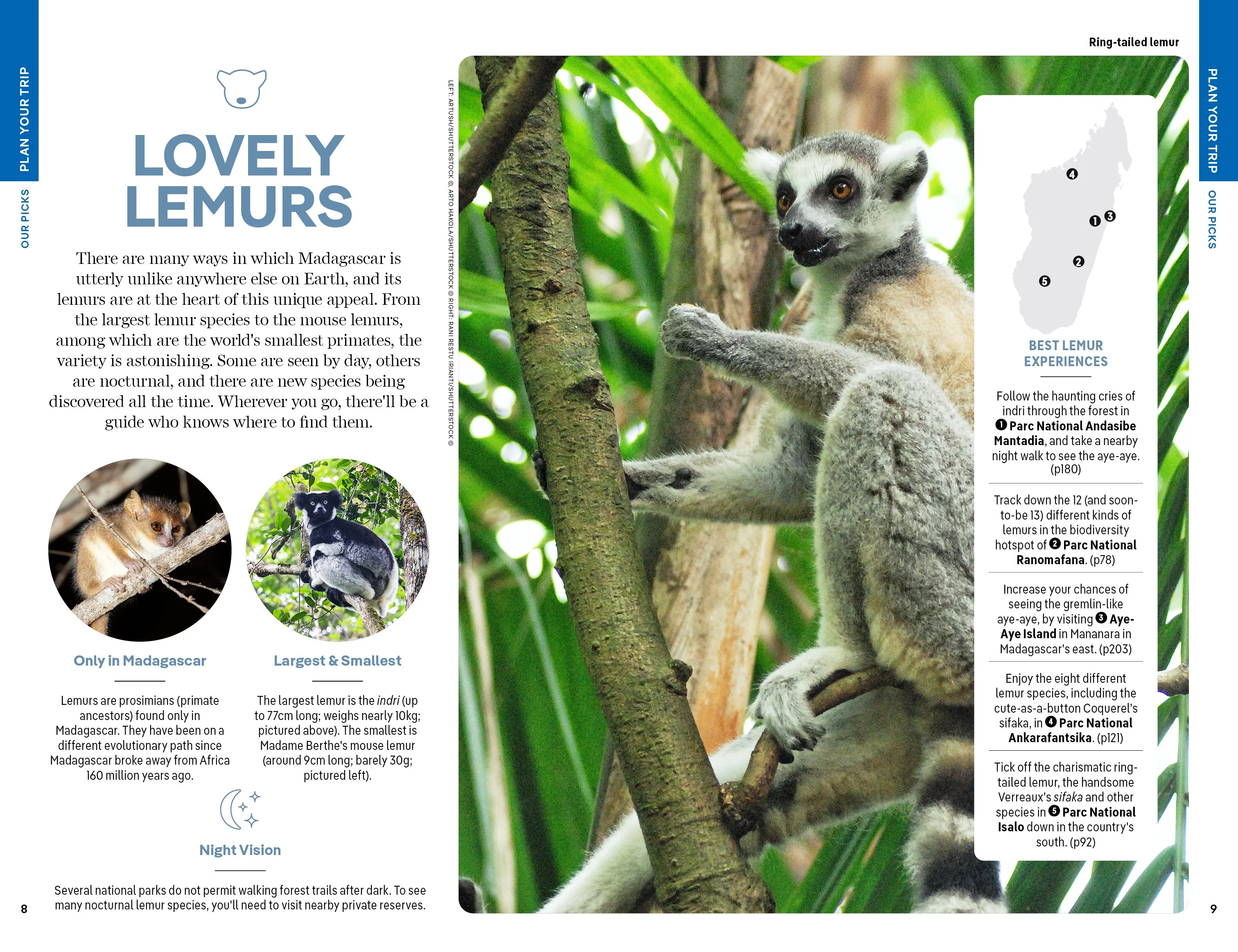 Madagascar - Book - Image 5