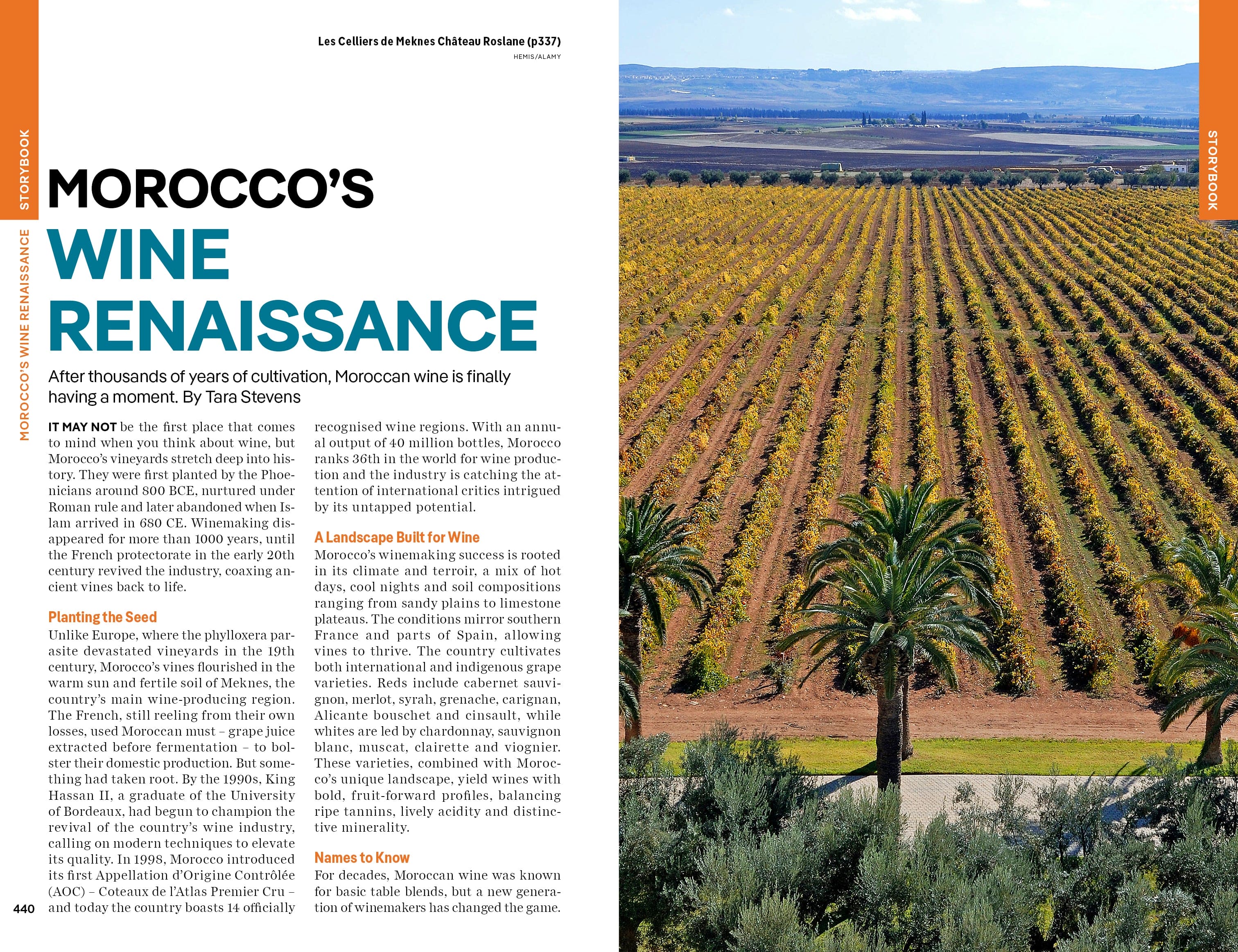 Morocco - Book - Image 20