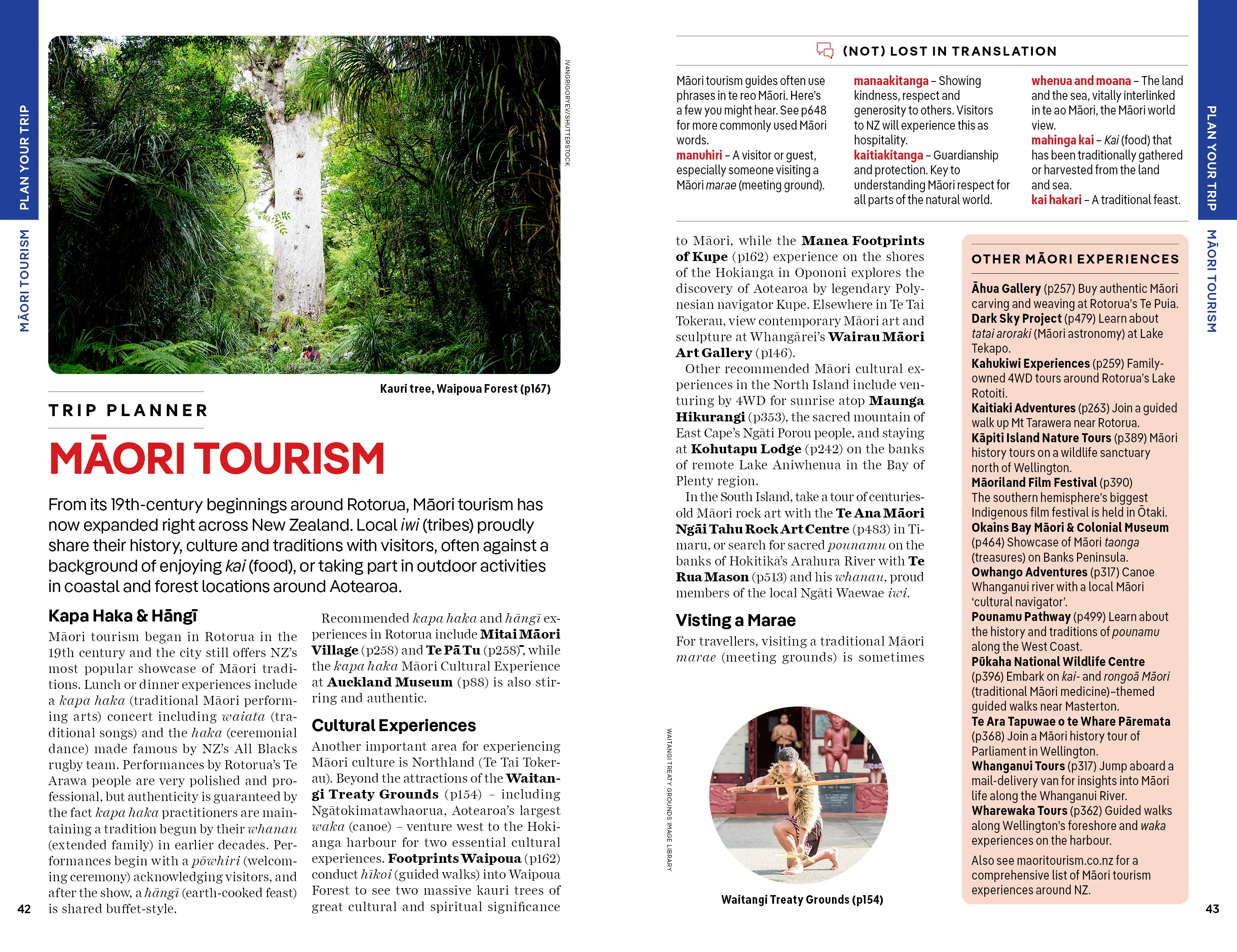 New Zealand - Book + eBook - Image 9