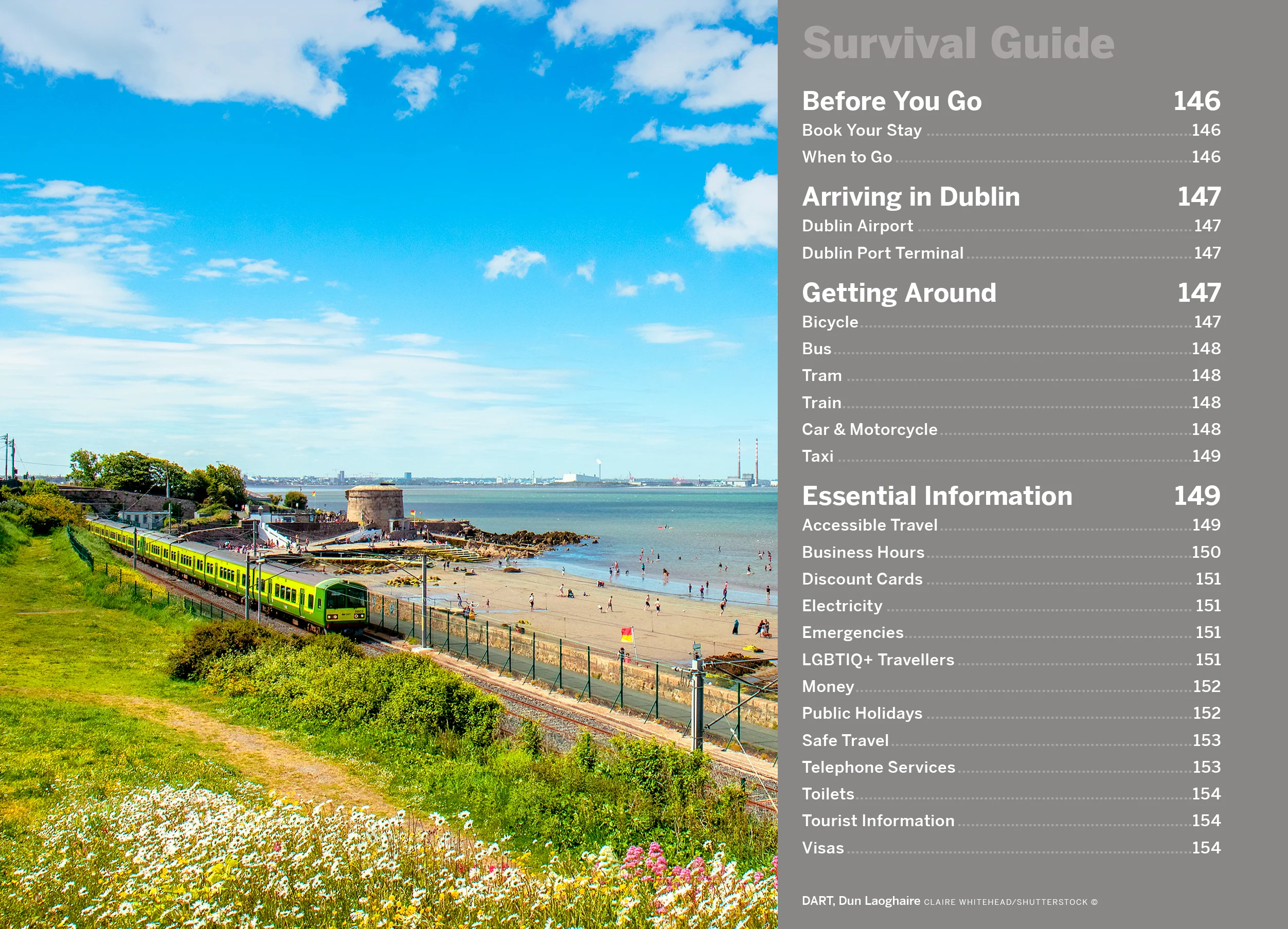Pocket Dublin - Book - Image 15