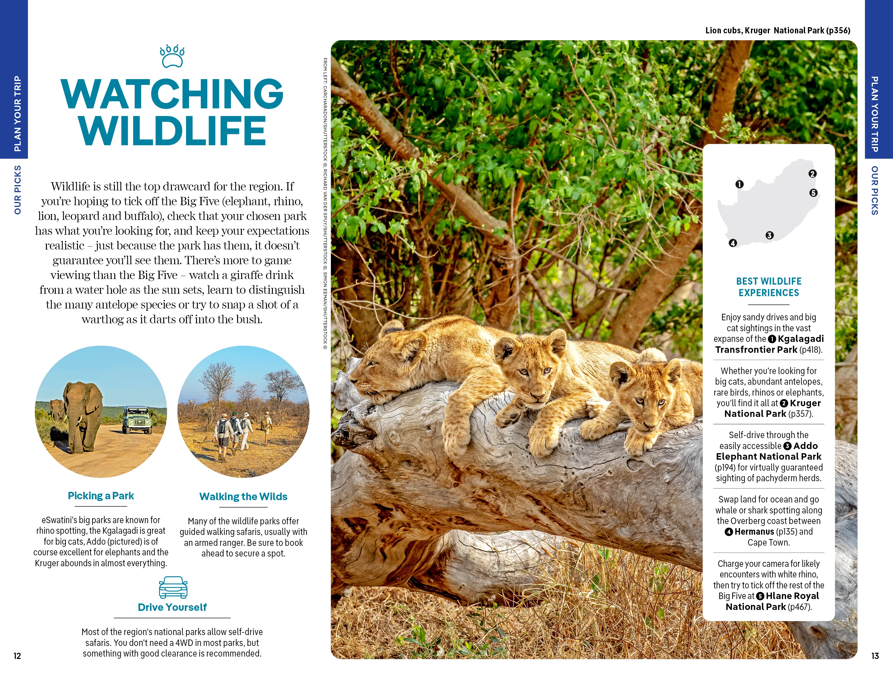 South Africa, Lesotho & Eswatini - Book - Image 6