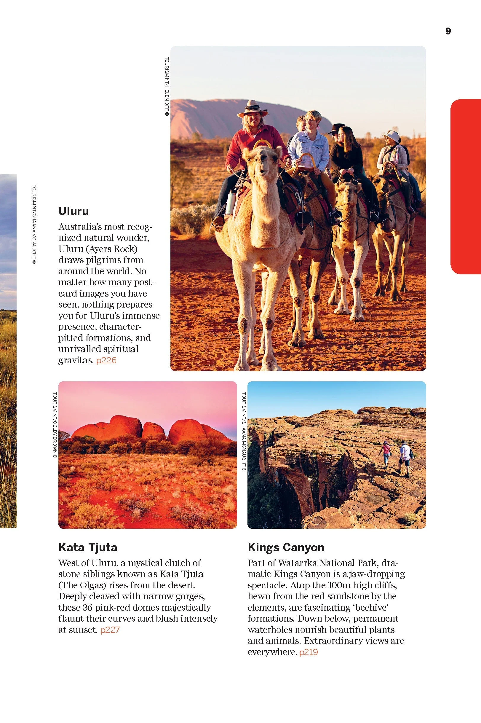 South Australia & Northern Territory - Book - Image 9