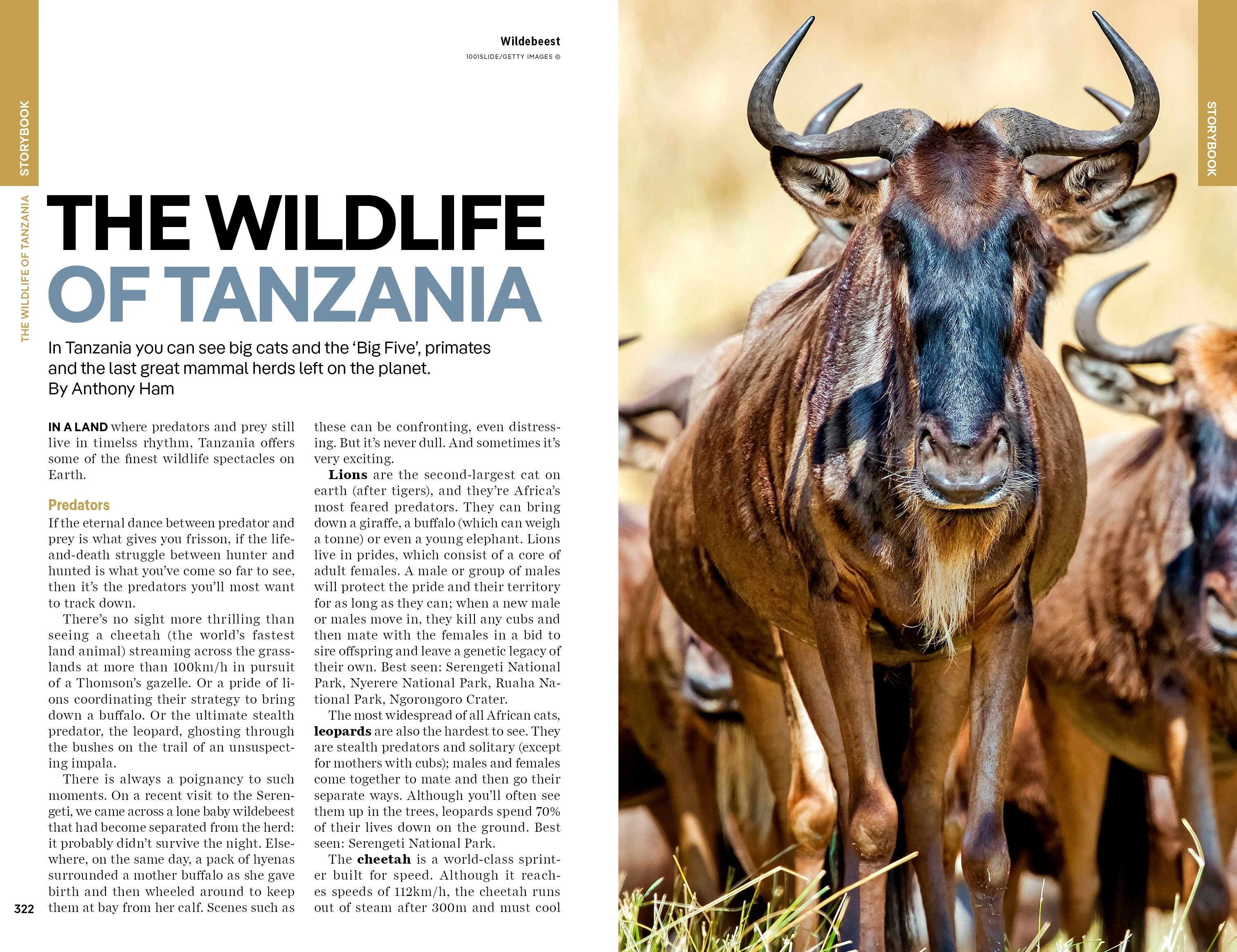 Tanzania - Book - Image 16