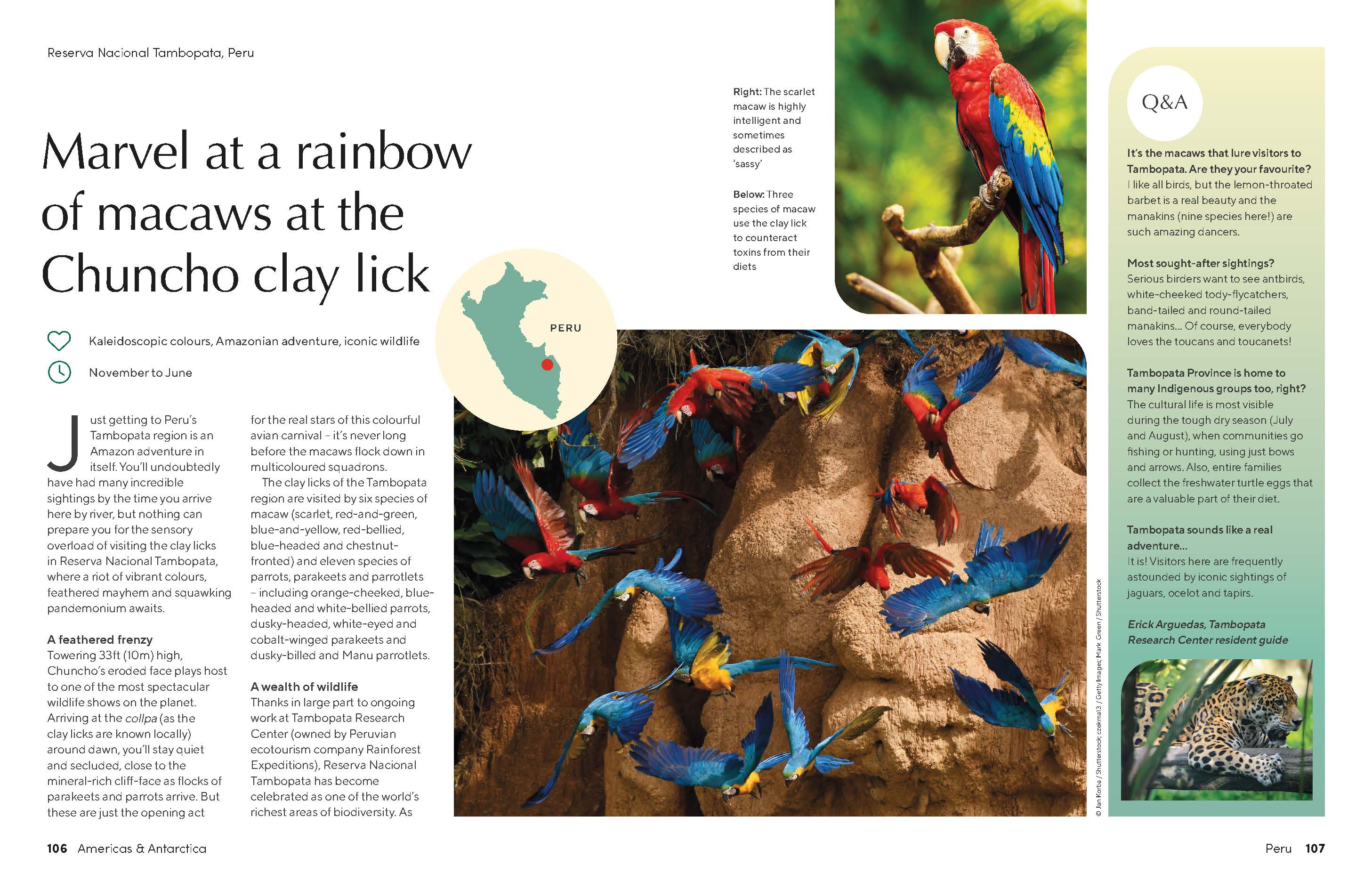 The Joy of Birdwatching - Image 10