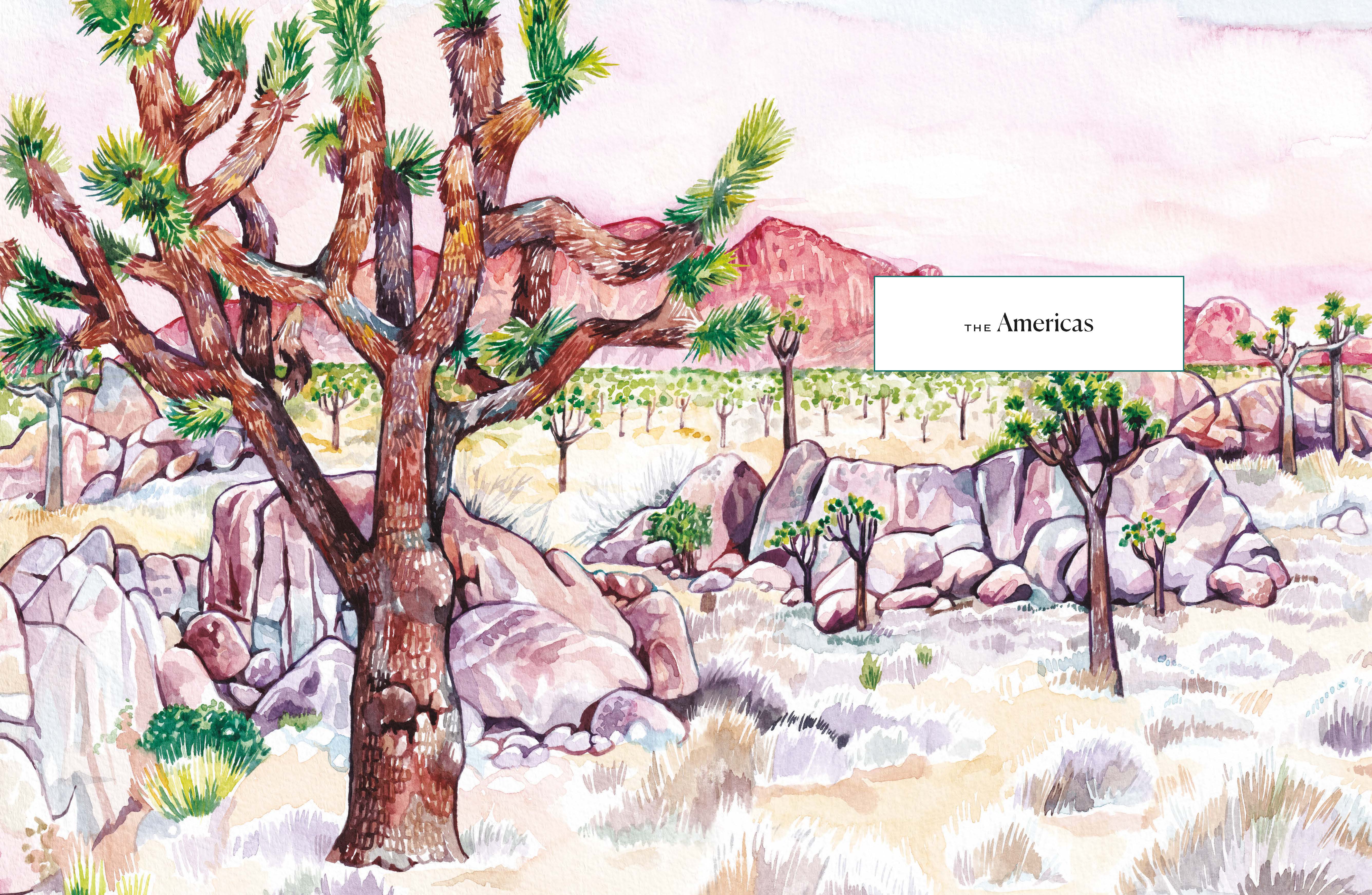 The Tree Atlas - Image 8