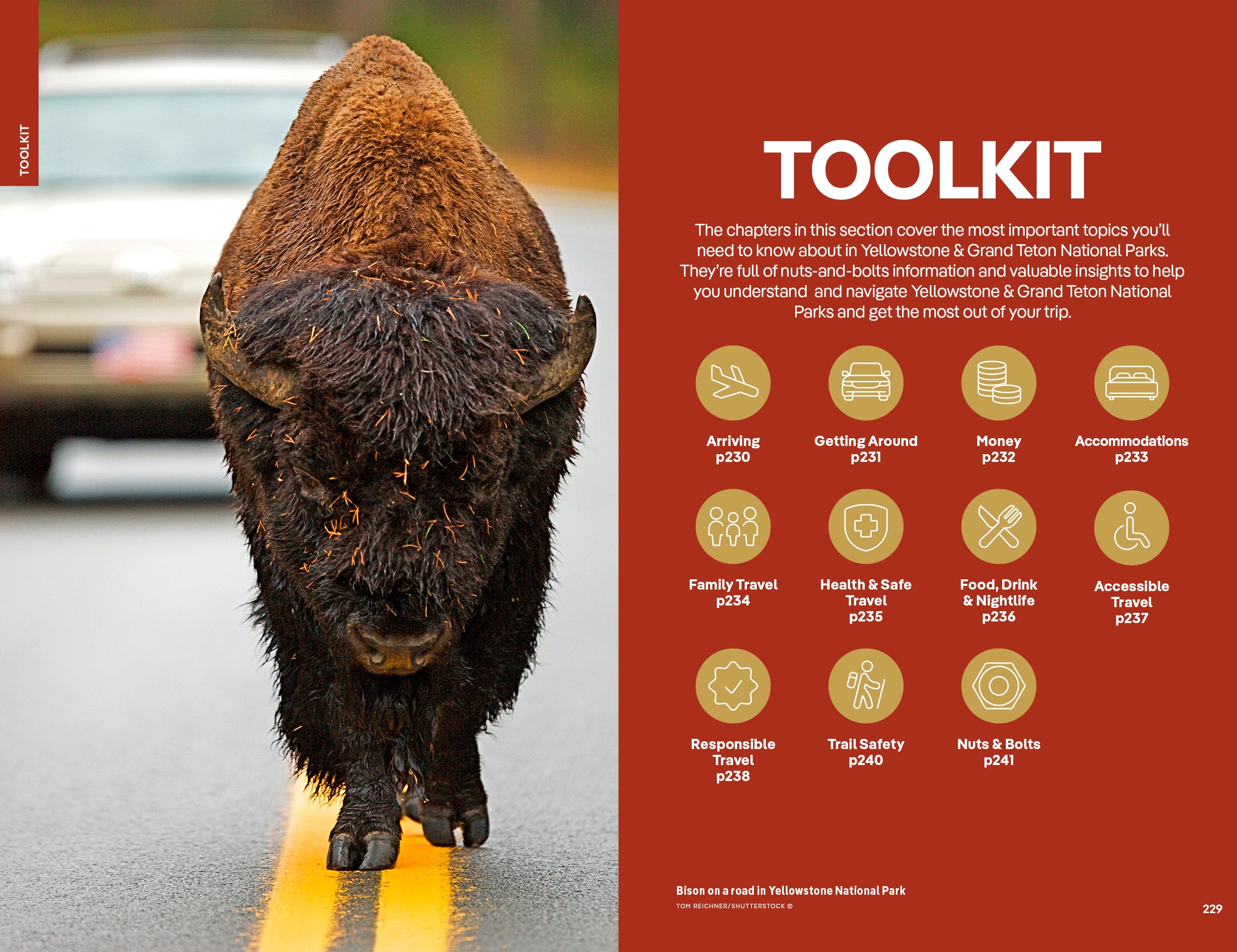 Yellowstone & Grand Teton National Parks - Book - Image 14
