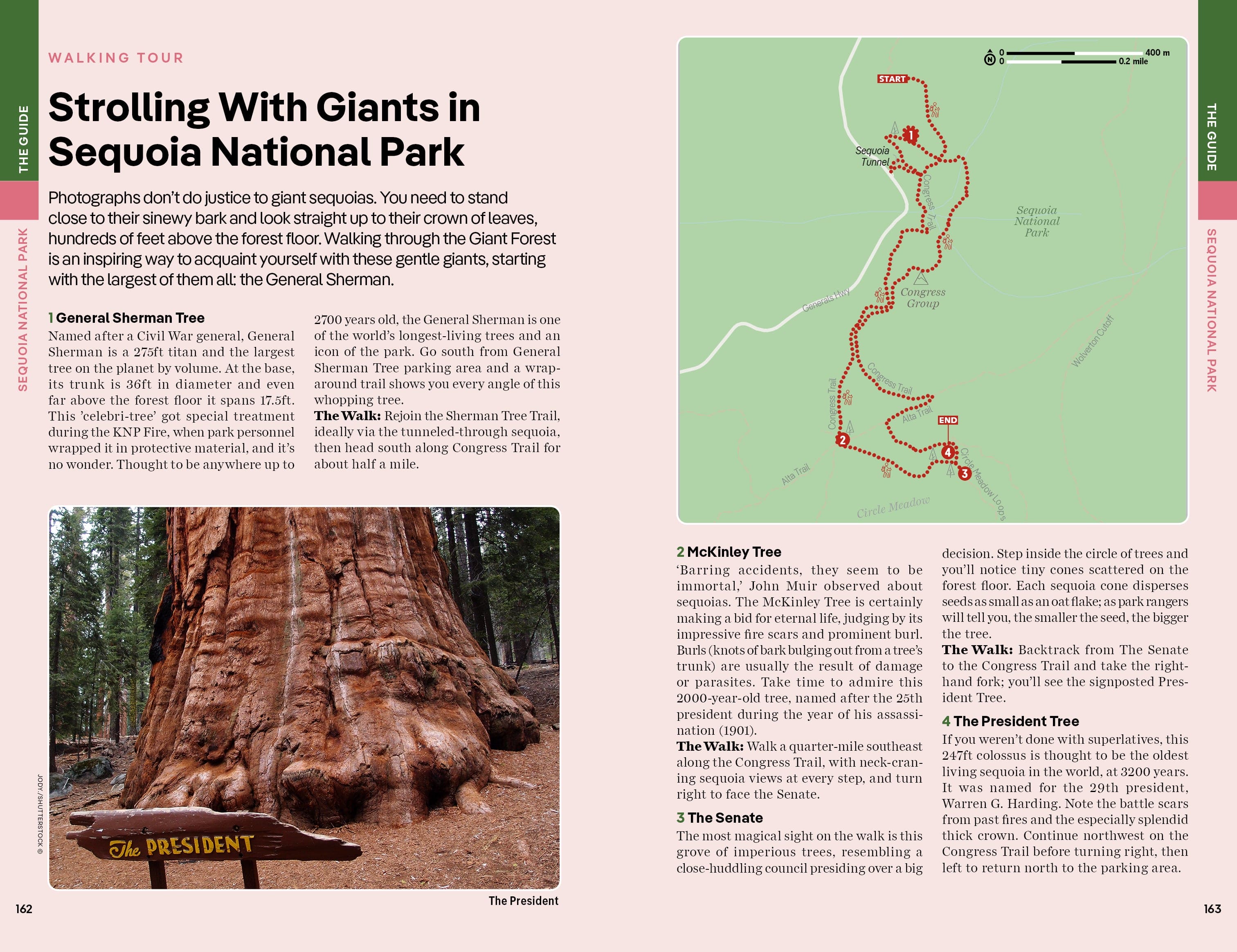 Yosemite, Sequoia & Kings Canyon National Parks - Book - Image 14