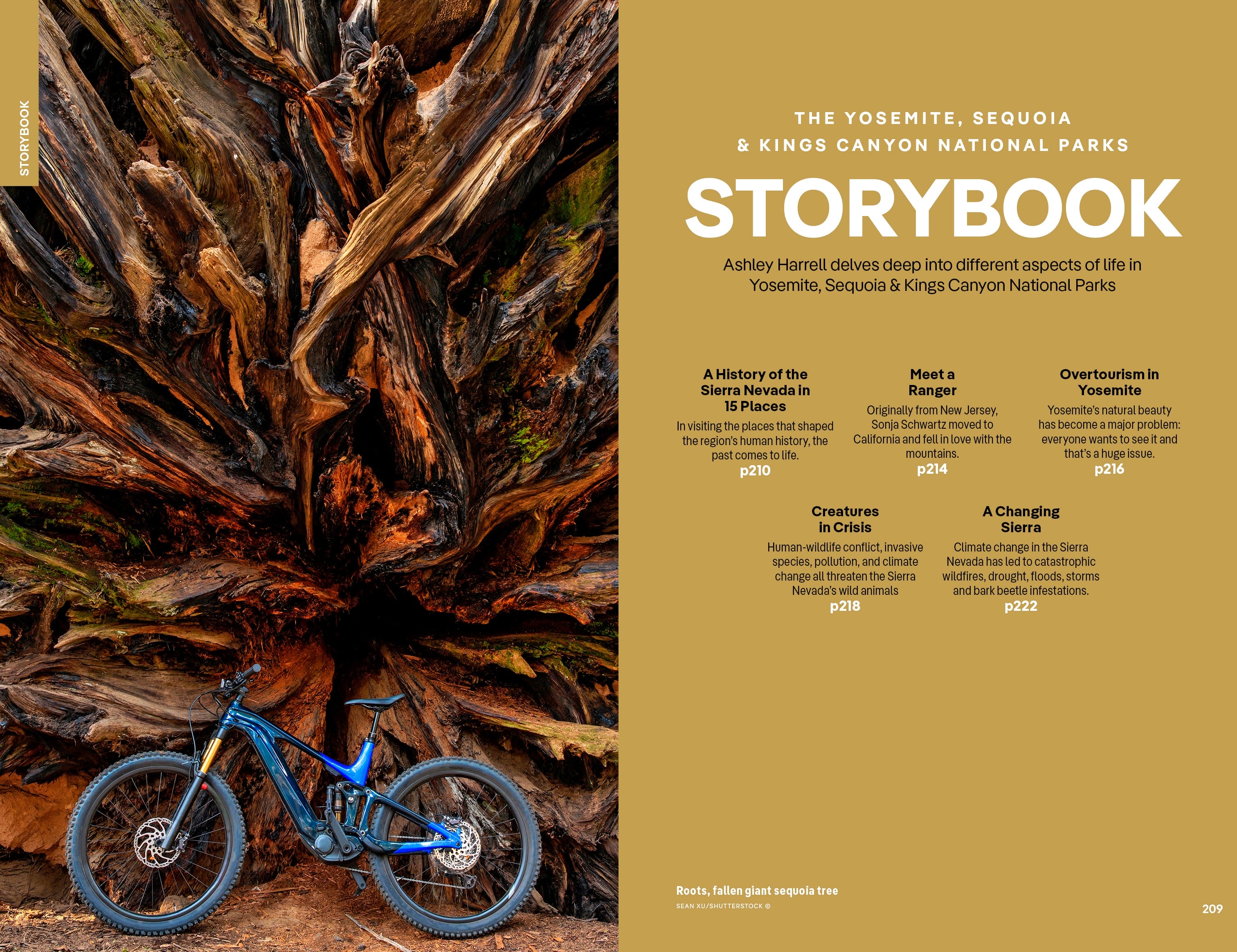 Yosemite, Sequoia & Kings Canyon National Parks - Book - Image 17